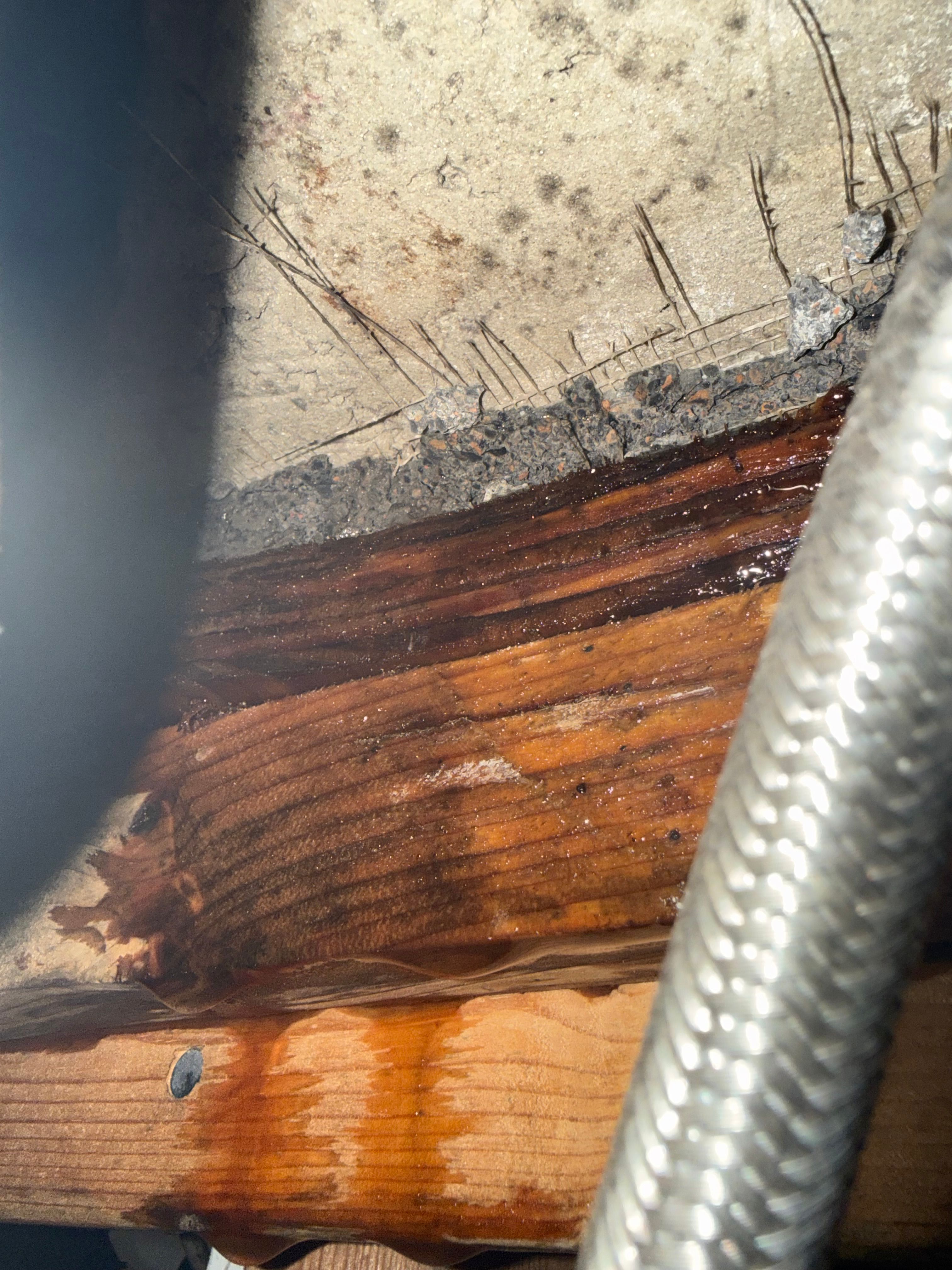  for Surplus Public Adjusters in Miami-Dade County, FL