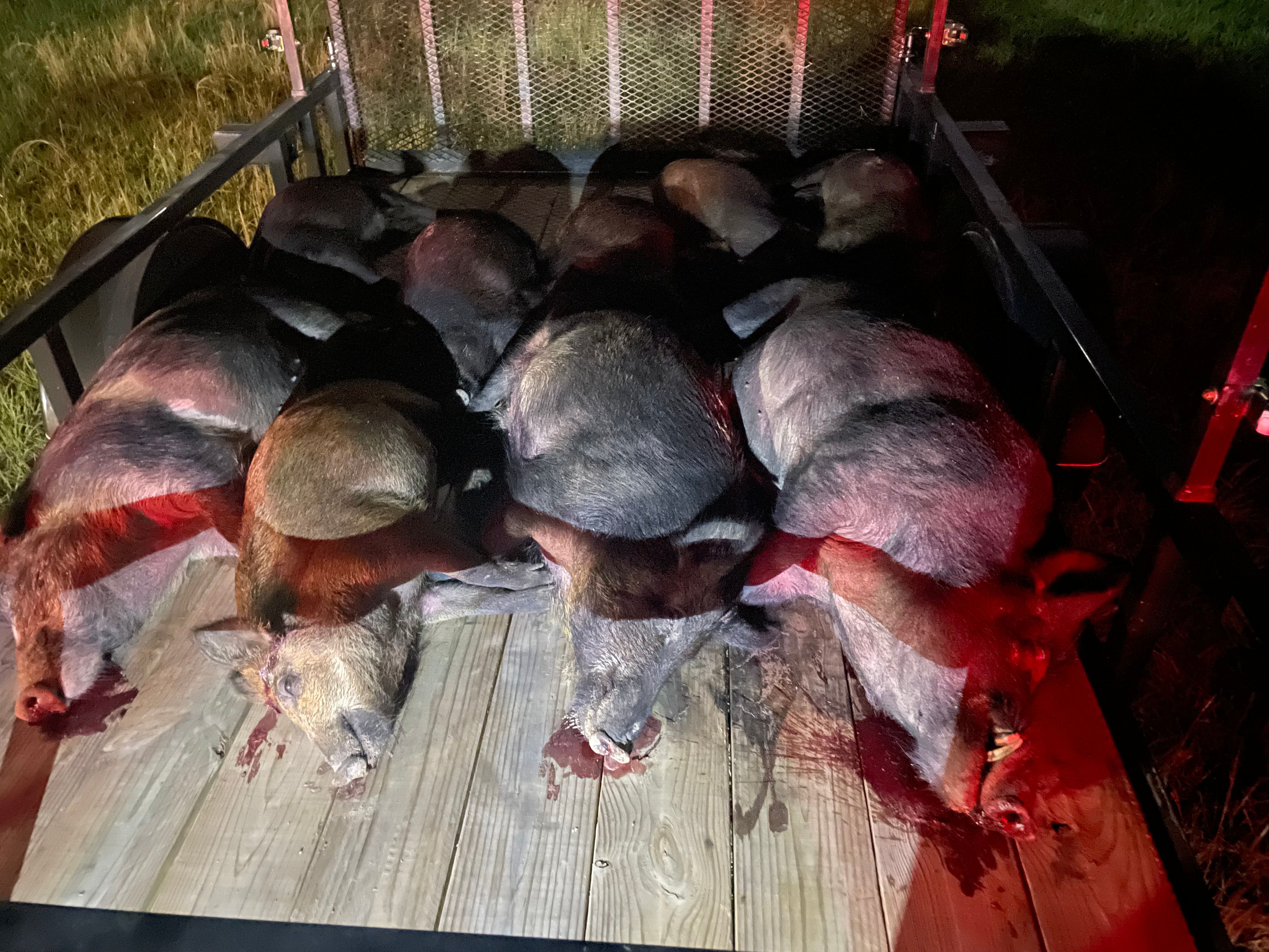  for Havoc Hog Control in Molino, FL