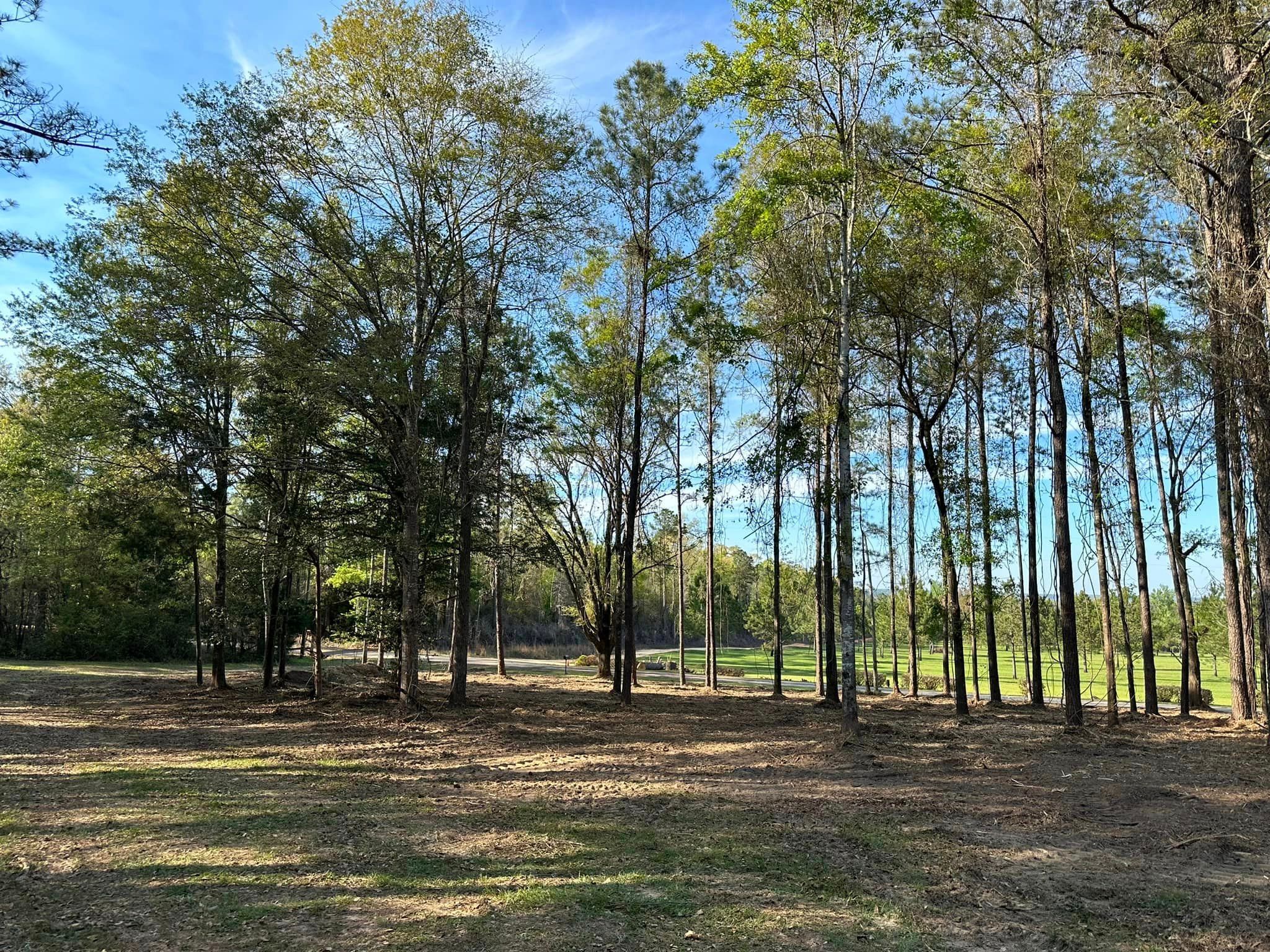 All Photos for White’s Land Maintenance in Milton,, FL