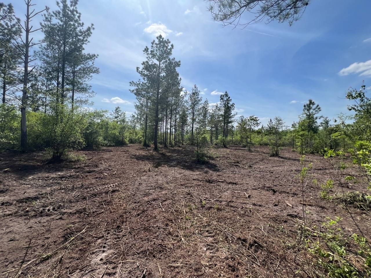  for TDWS Land Management in Blackshear, GA