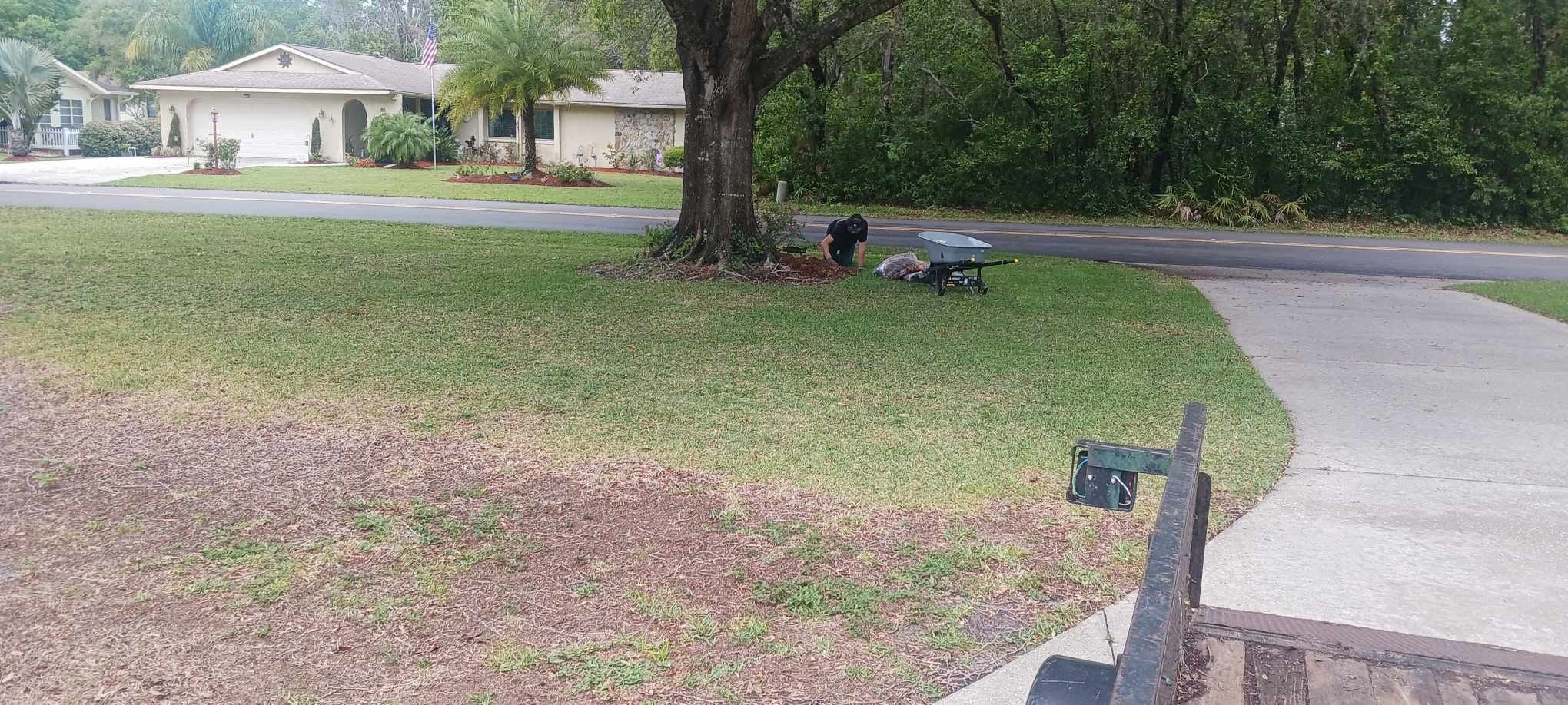 for O'Donnell Tree and Handyman Services in Pine Ridge, FL