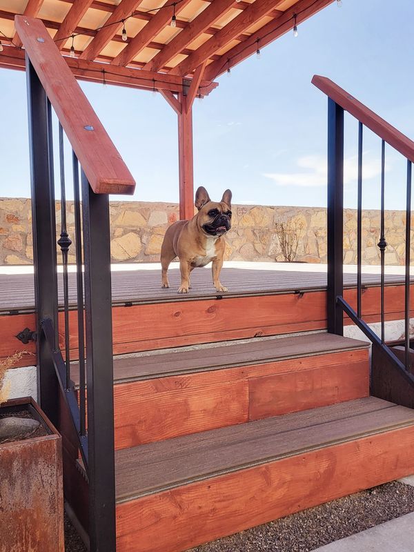 Deck Construction for Great Outdoors Patio Projects in El Paso, TX