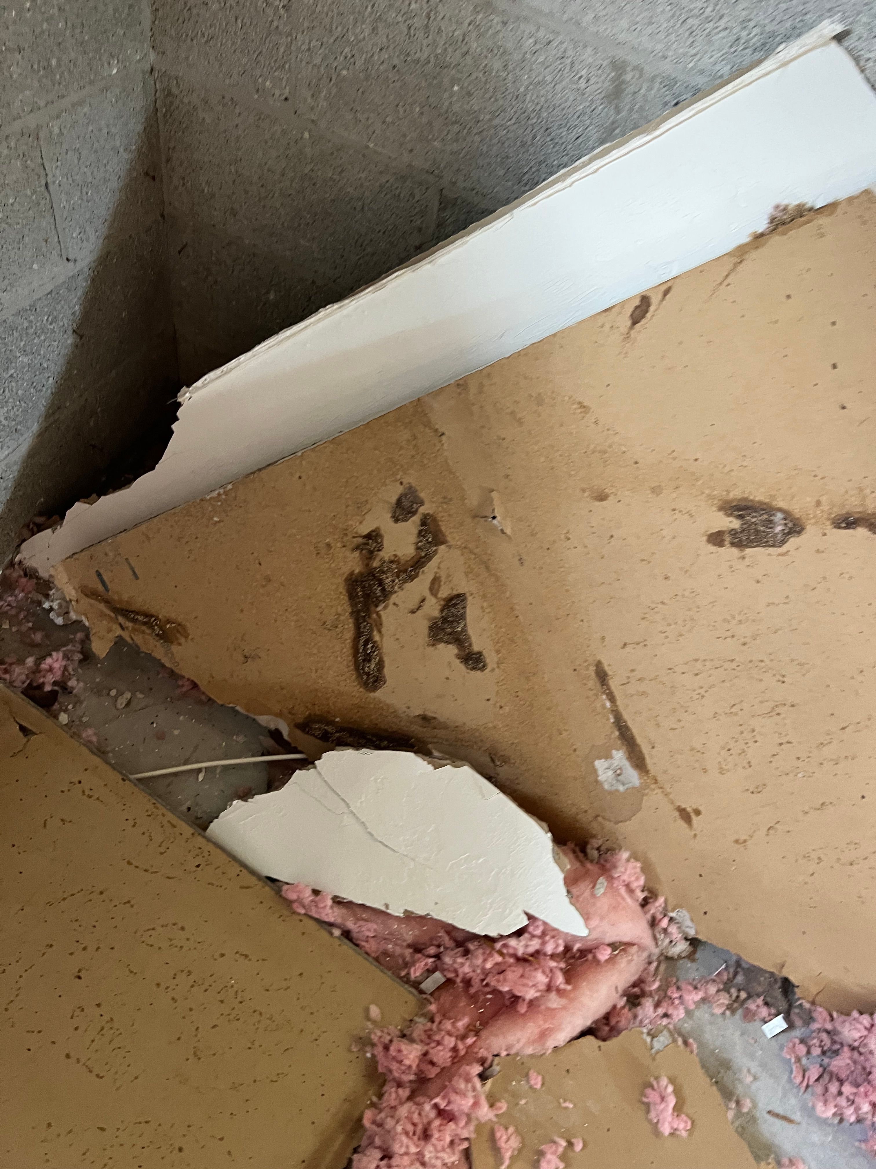  for N&D Restoration Services When Disaster Strikes, We Come In in Cape Coral,  FL