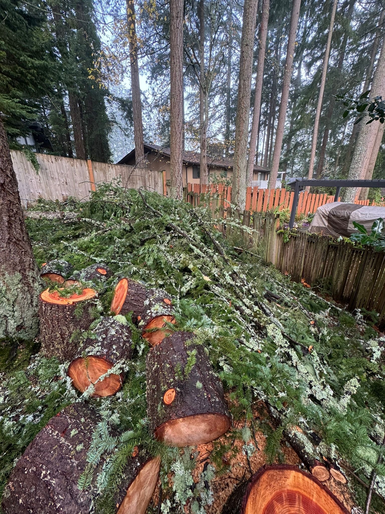  for Tony's Remodeling & Painting in Renton, WA