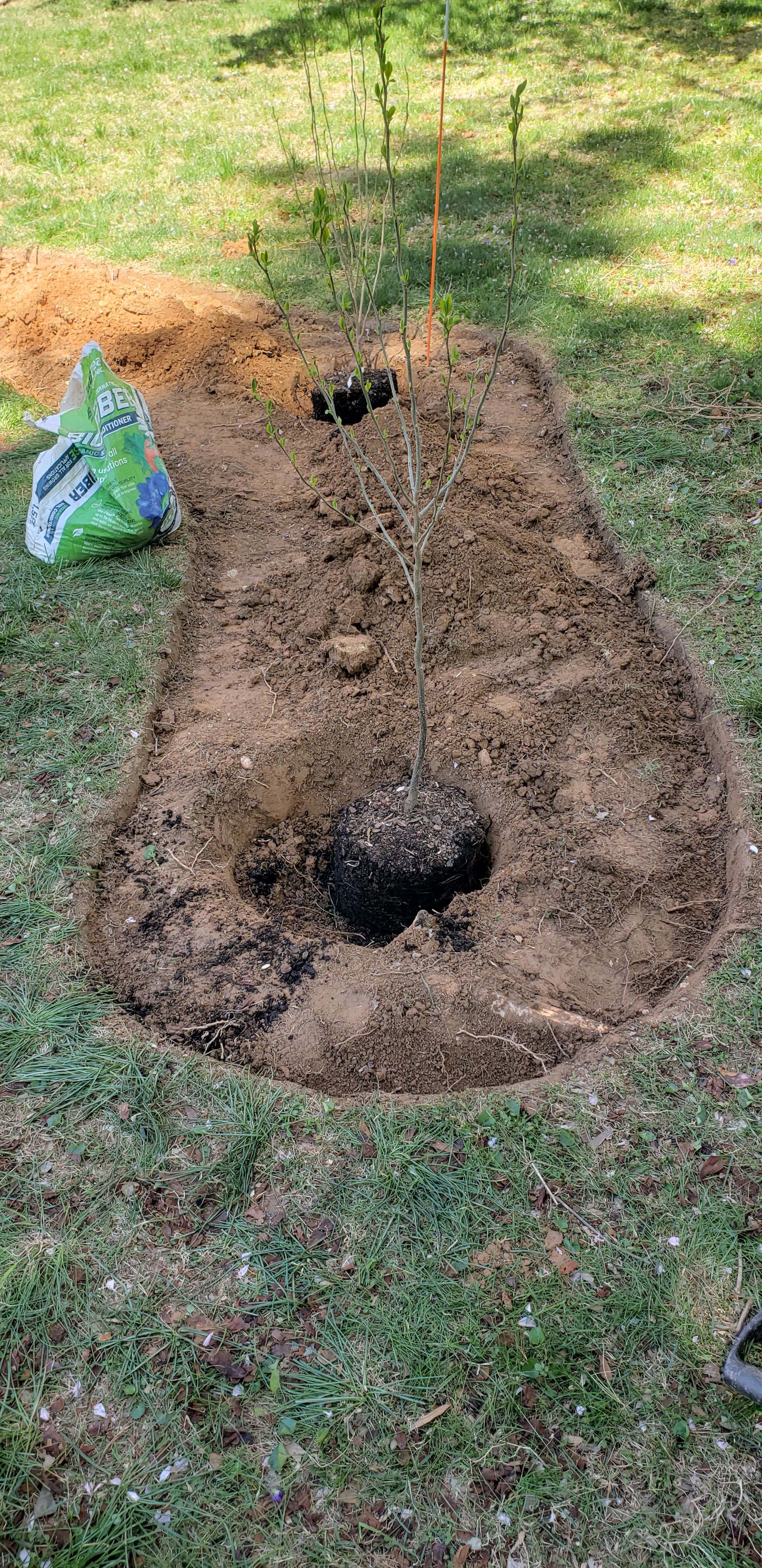  for Clean Cut Lawns & Landscaping in Dickerson, MD