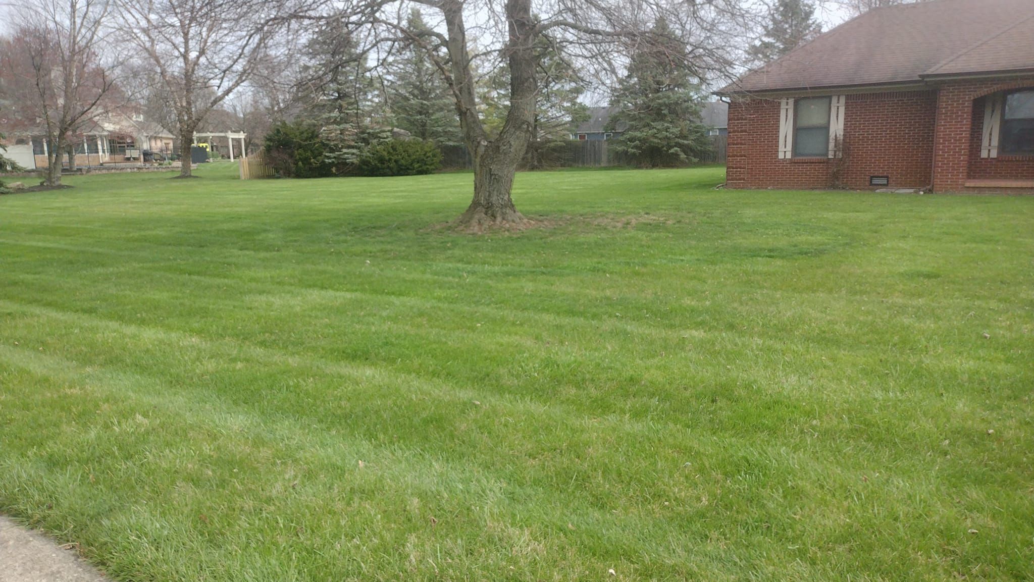 All Photos for Bearforce Lawn Care LLC in Greenfield, IN