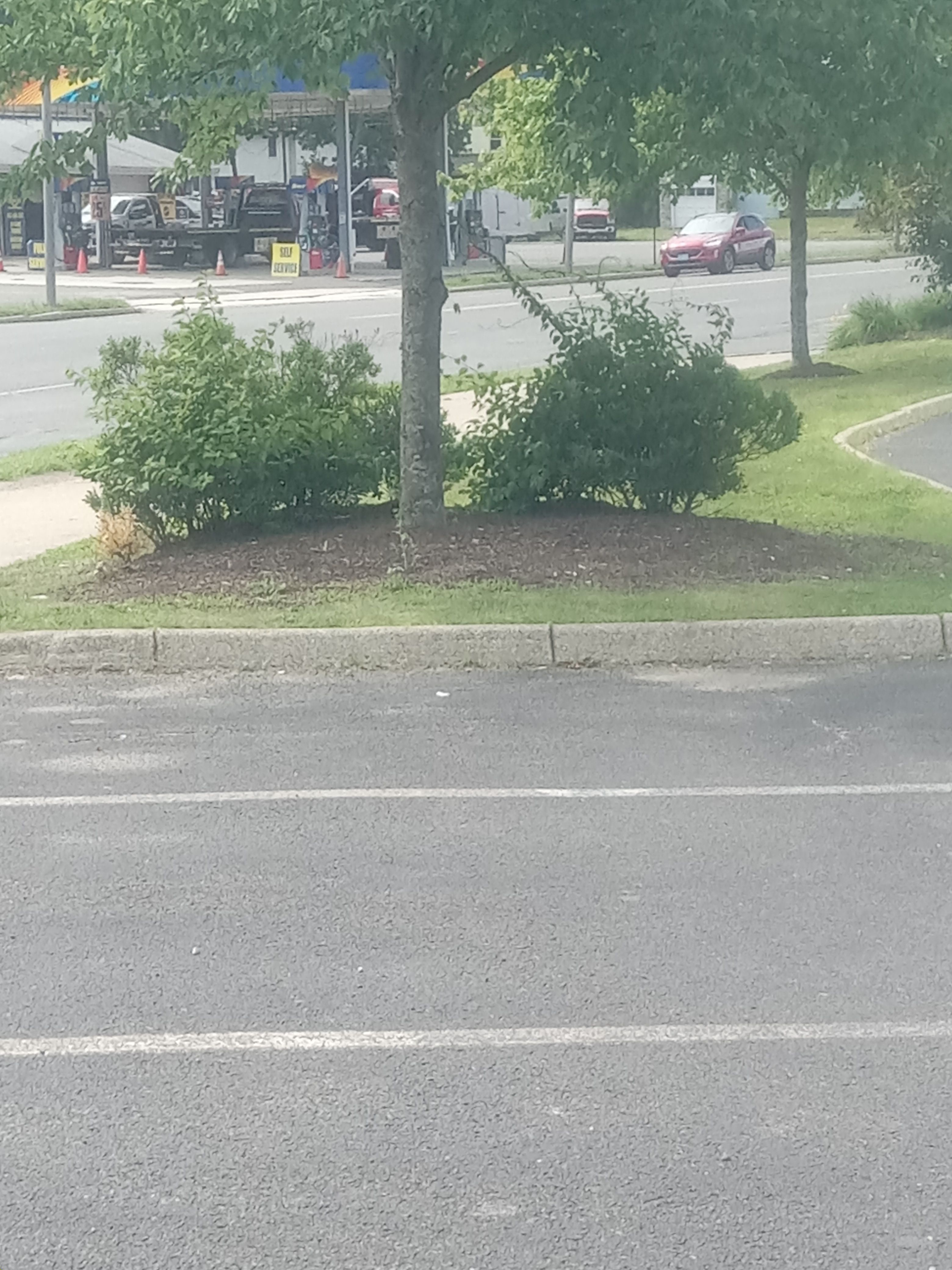  for K Brown's Property Maintenance in Pittsfield, MA