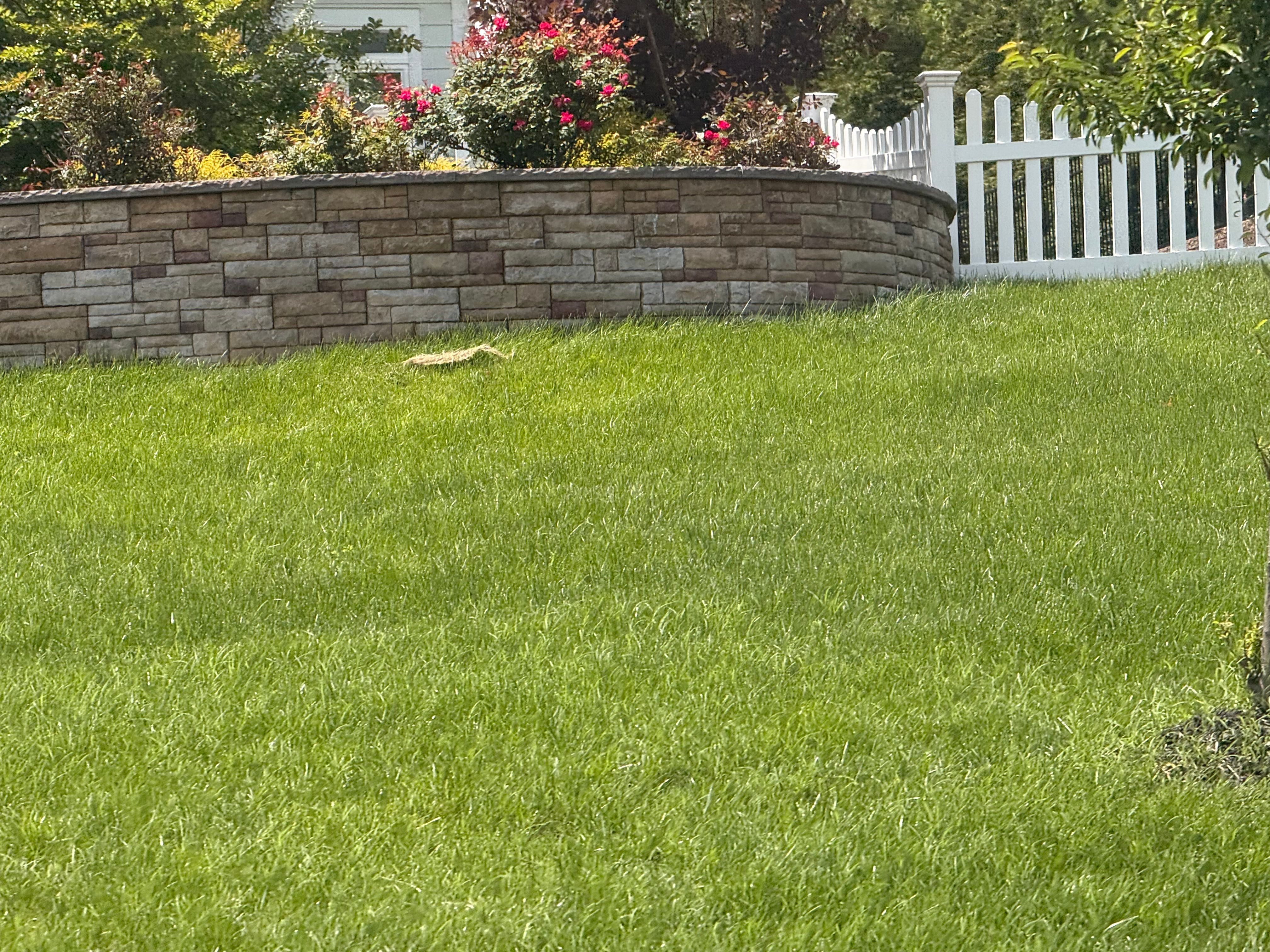 All Photos for Matteo Hardscapes in Towson,  MD