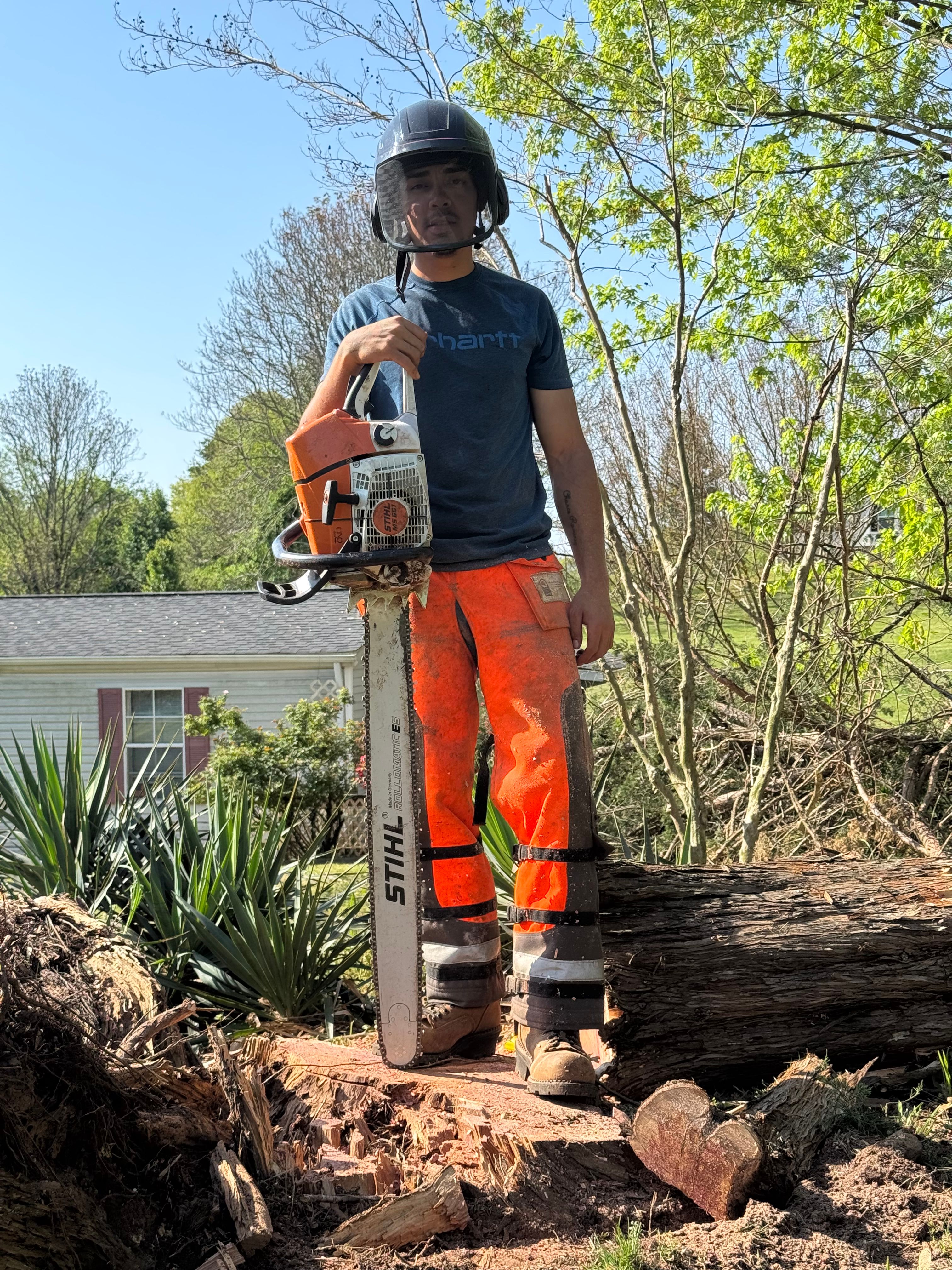 All Photos for Ramirez Tree Care in Elkin, NC