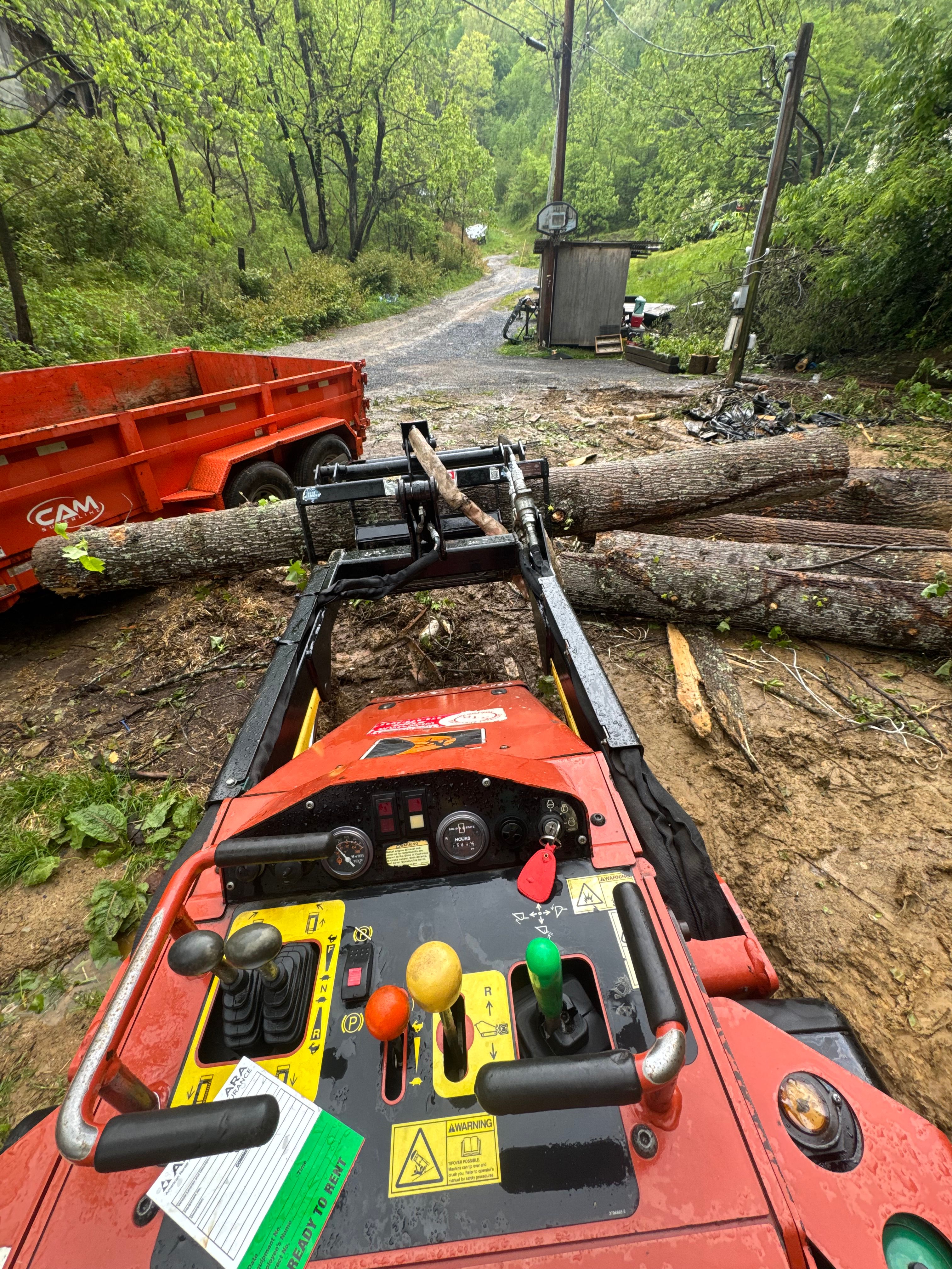 Tree Removal gallery for Precision Cutz Tree Services, LLC in Coeburn, VA