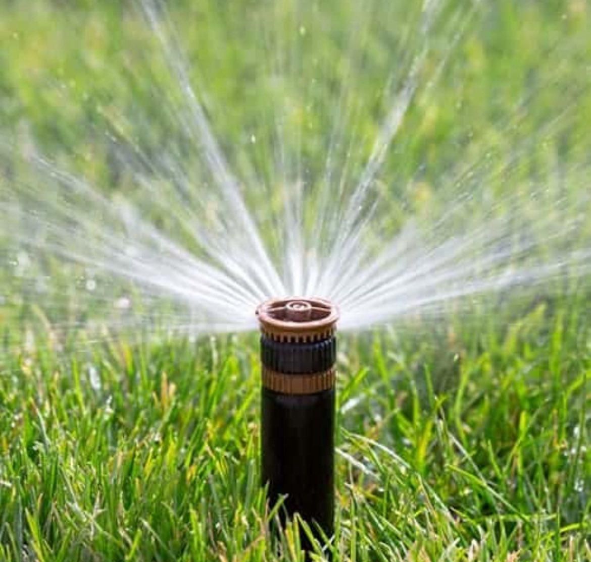  for The Sprinkler Lady in Port Orange, FL