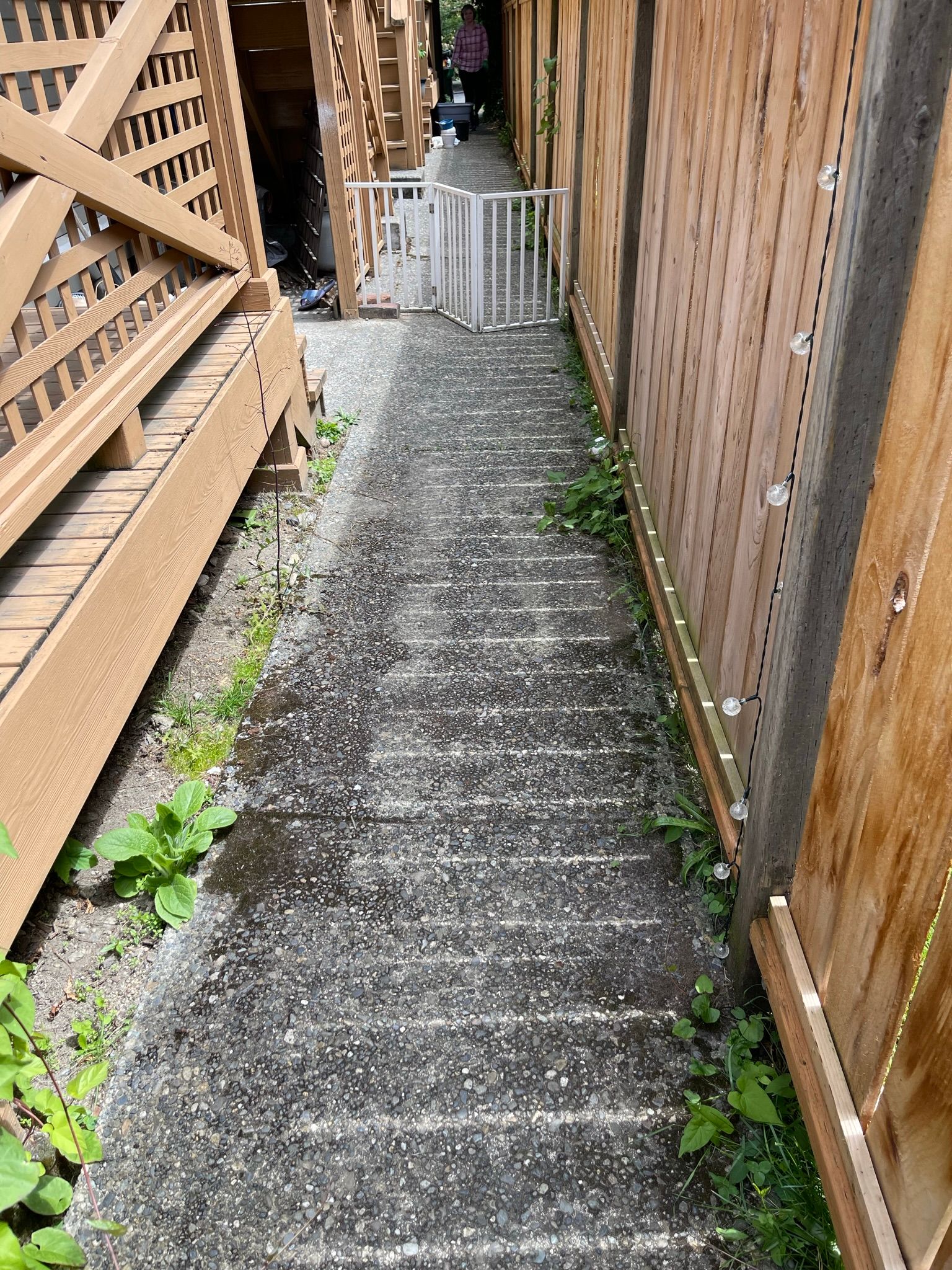  for Tony's Remodeling & Painting in Renton, WA