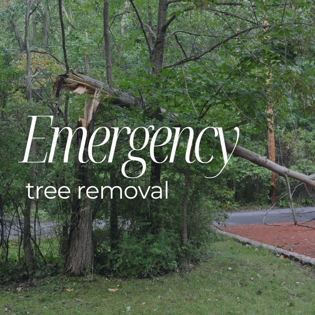  for Oakwood Tree Removal LLC in Oak Creek,  WI