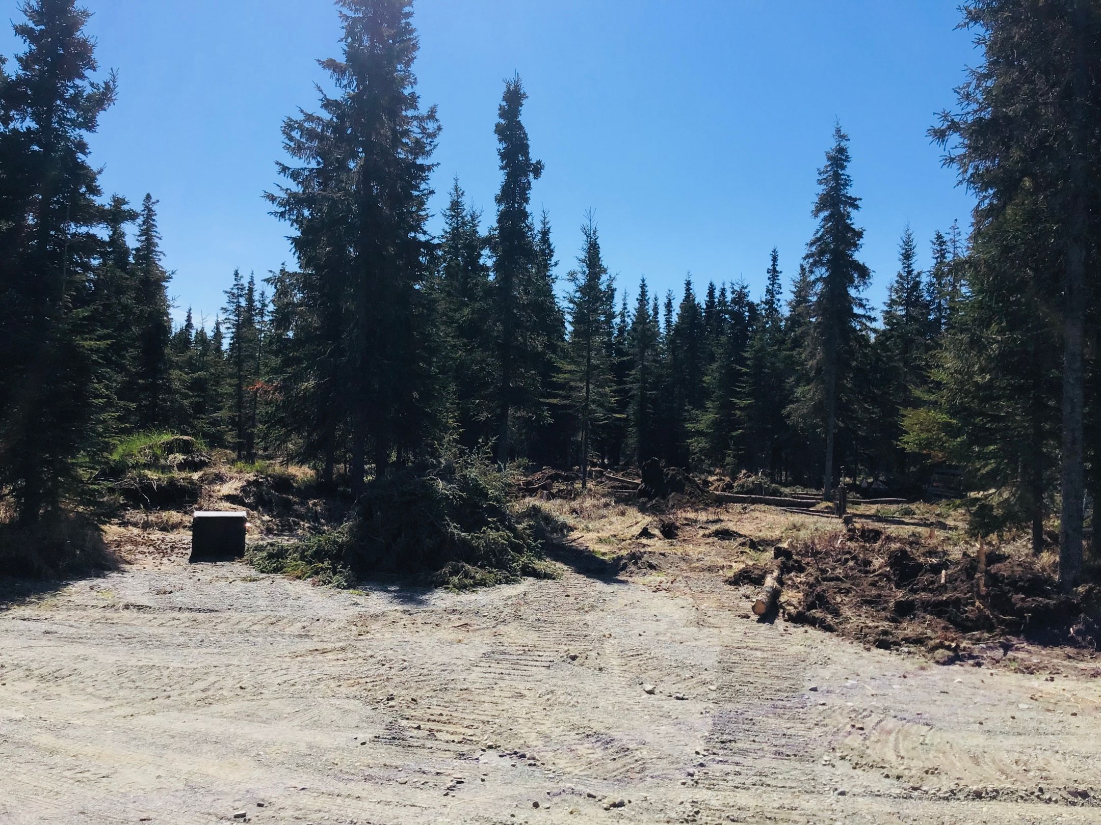  for Frontier Forestry Management in Soldotna, AK