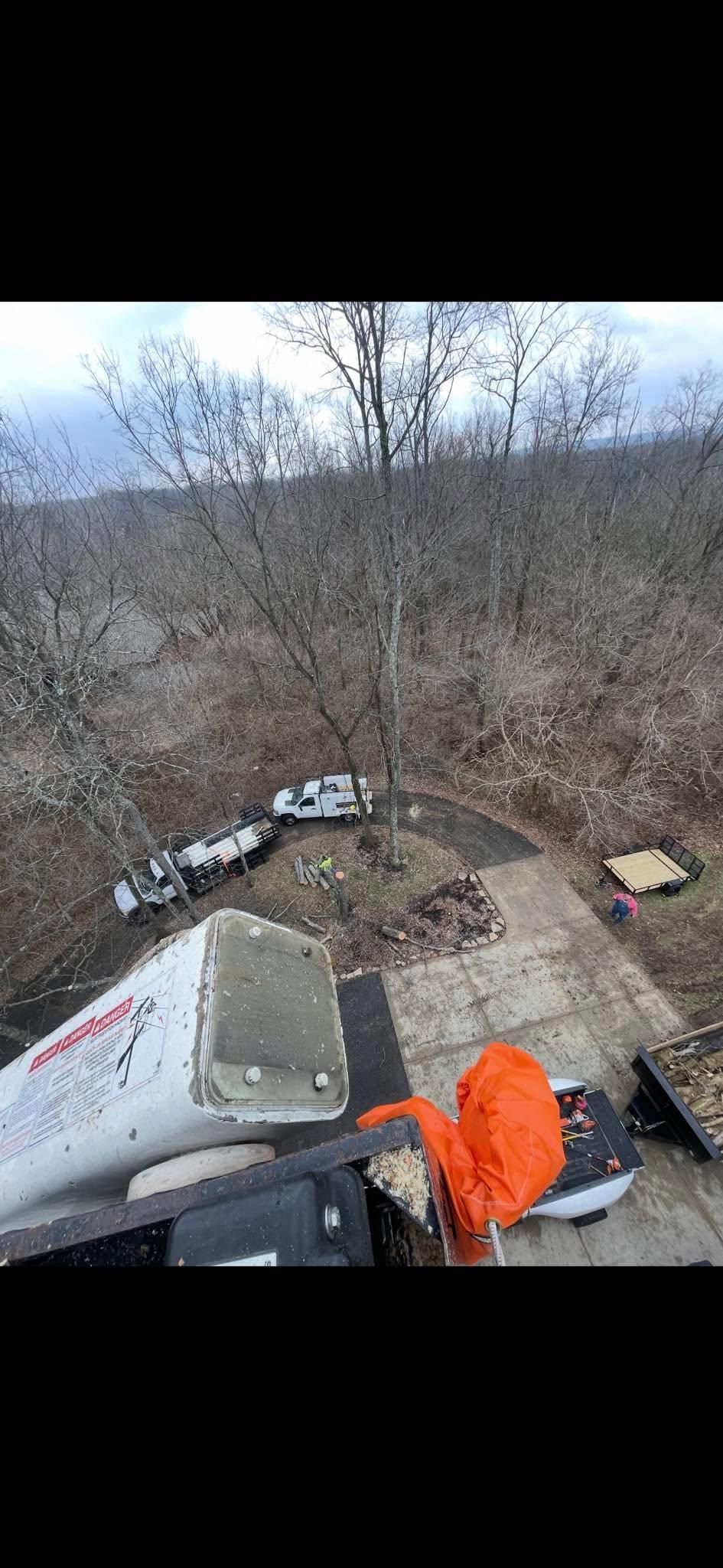  for Dig-It Tree Company in Mason, OH