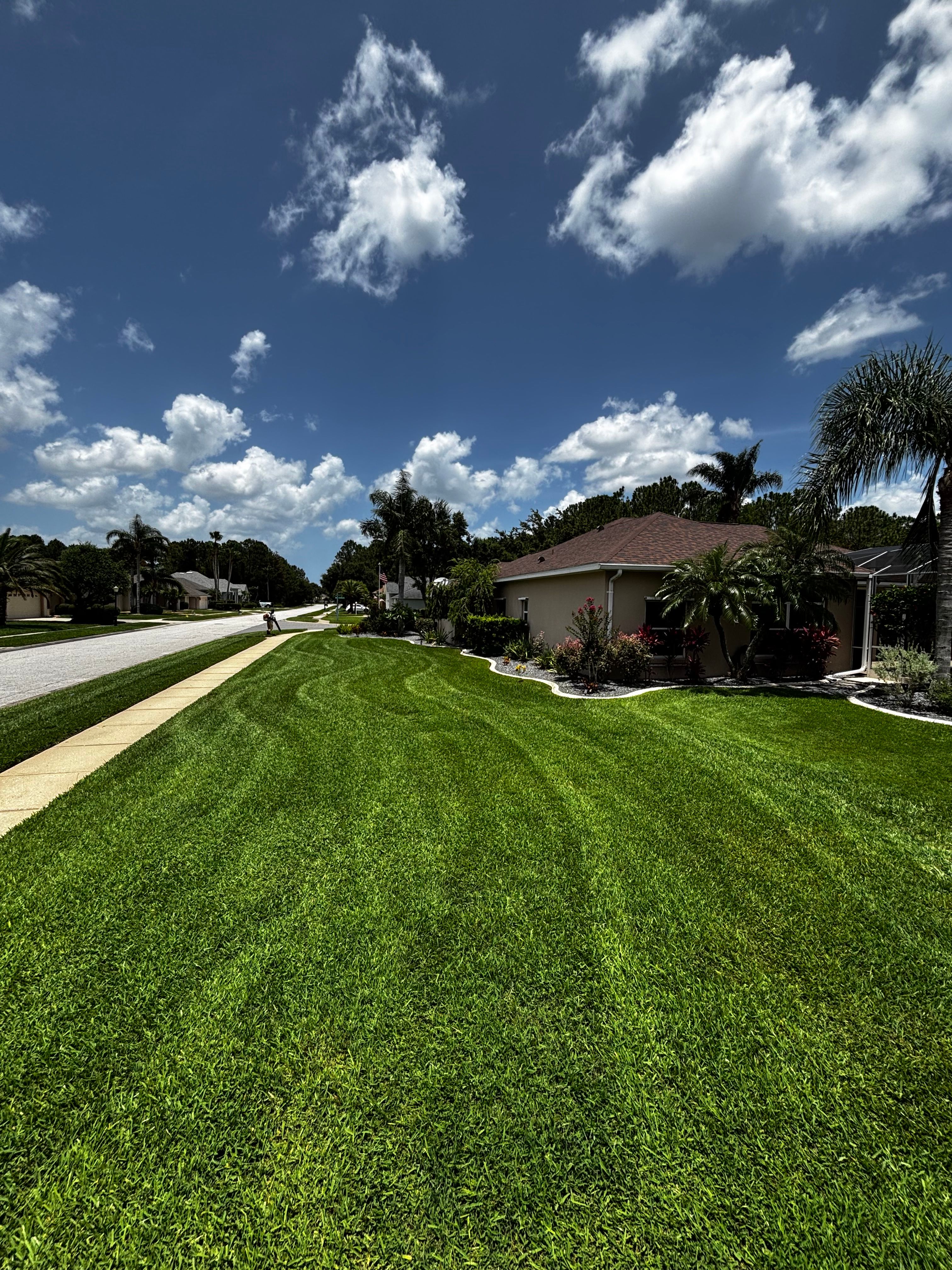  for Vanic's Landscaping in Port Orange, FL