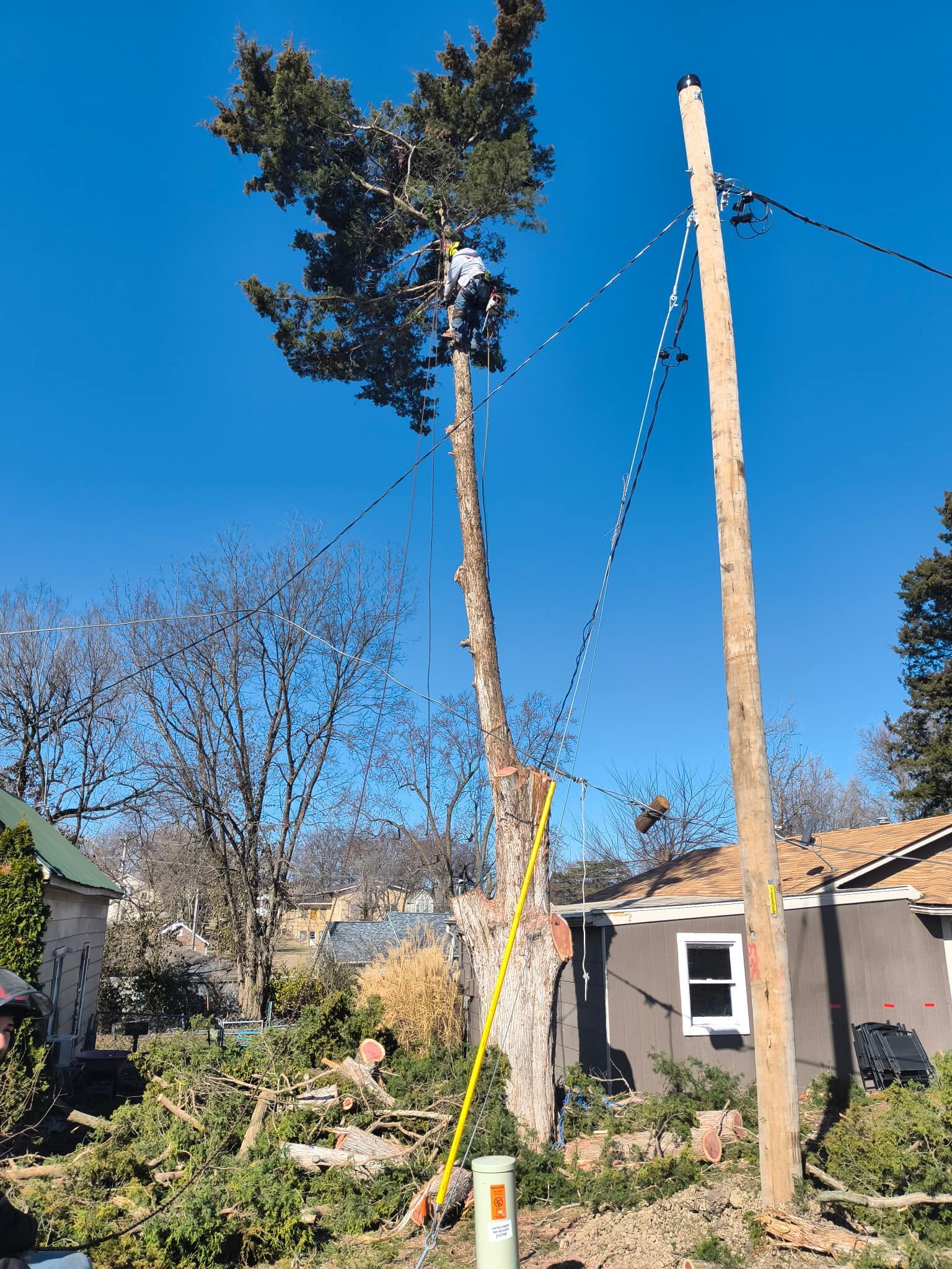Tree Removal for Cross Family Tree Service in Kearney, MO