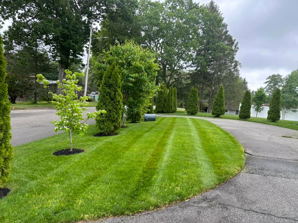  for Saavedra & Sons Landscaping in Waltham, MA