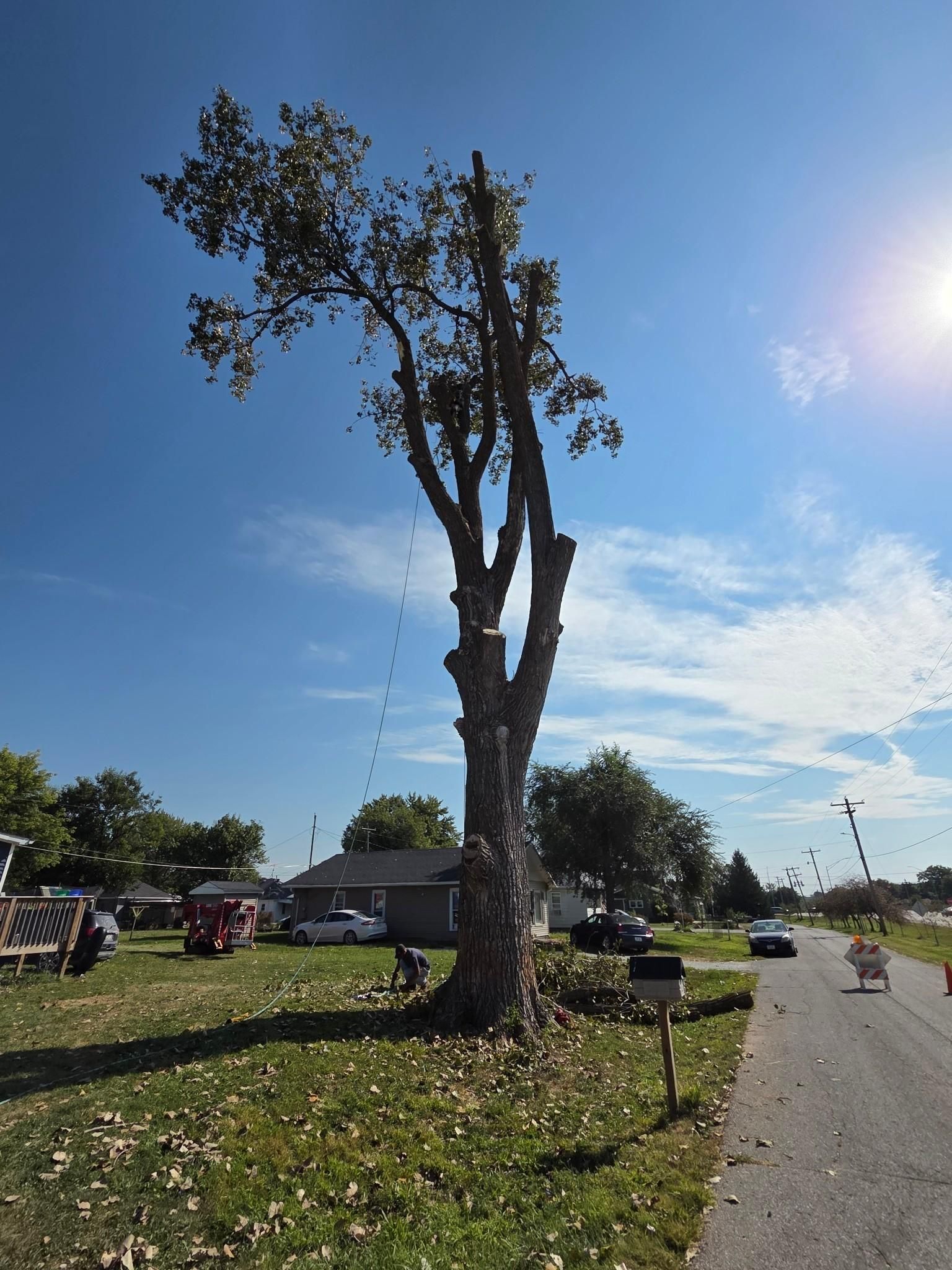  for Lawn Ranger Yard And Tree Service LLC in Ottumwa, IA