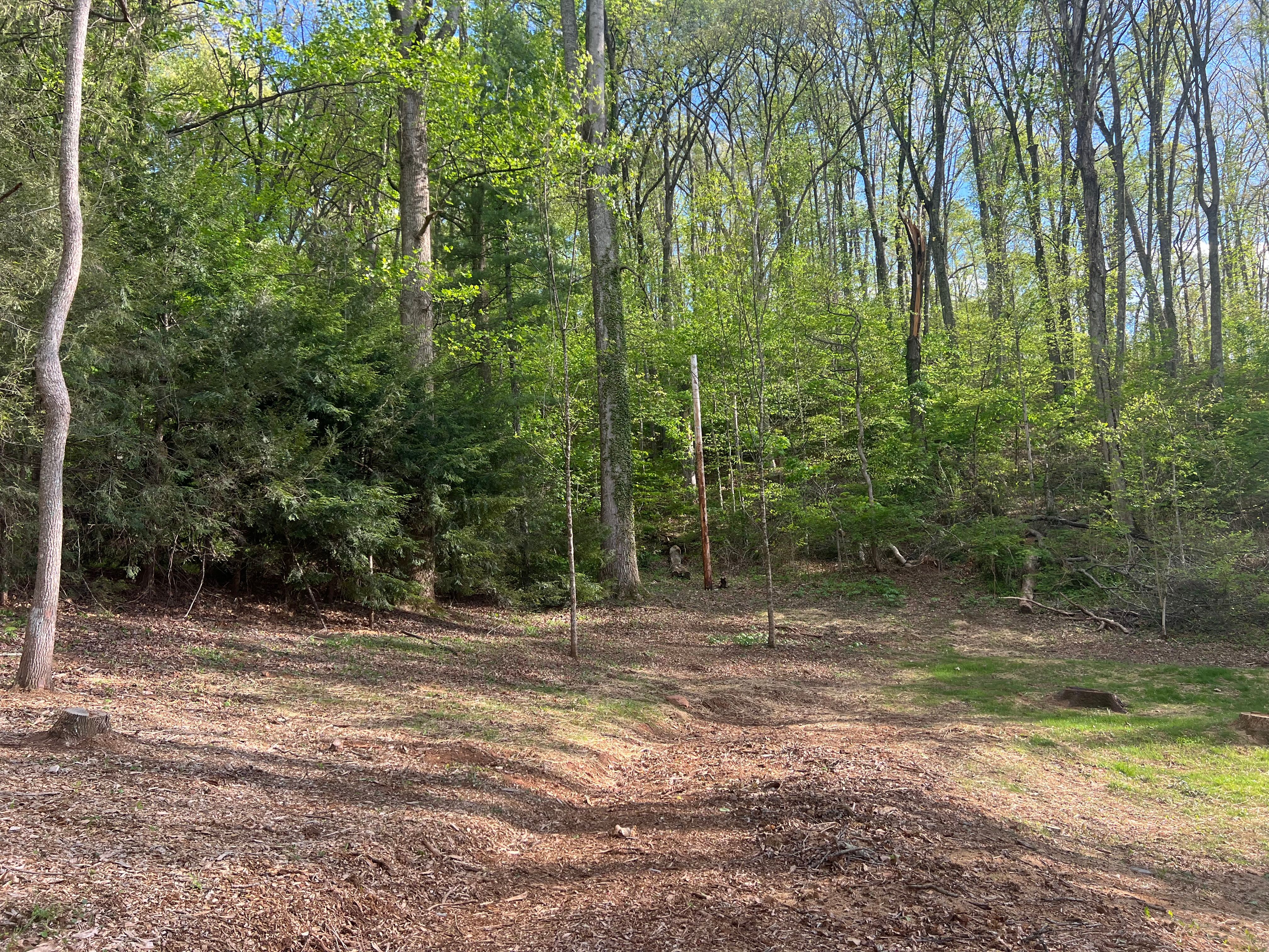 for Ground To Sky Tree Care in Asheville, North Carolina