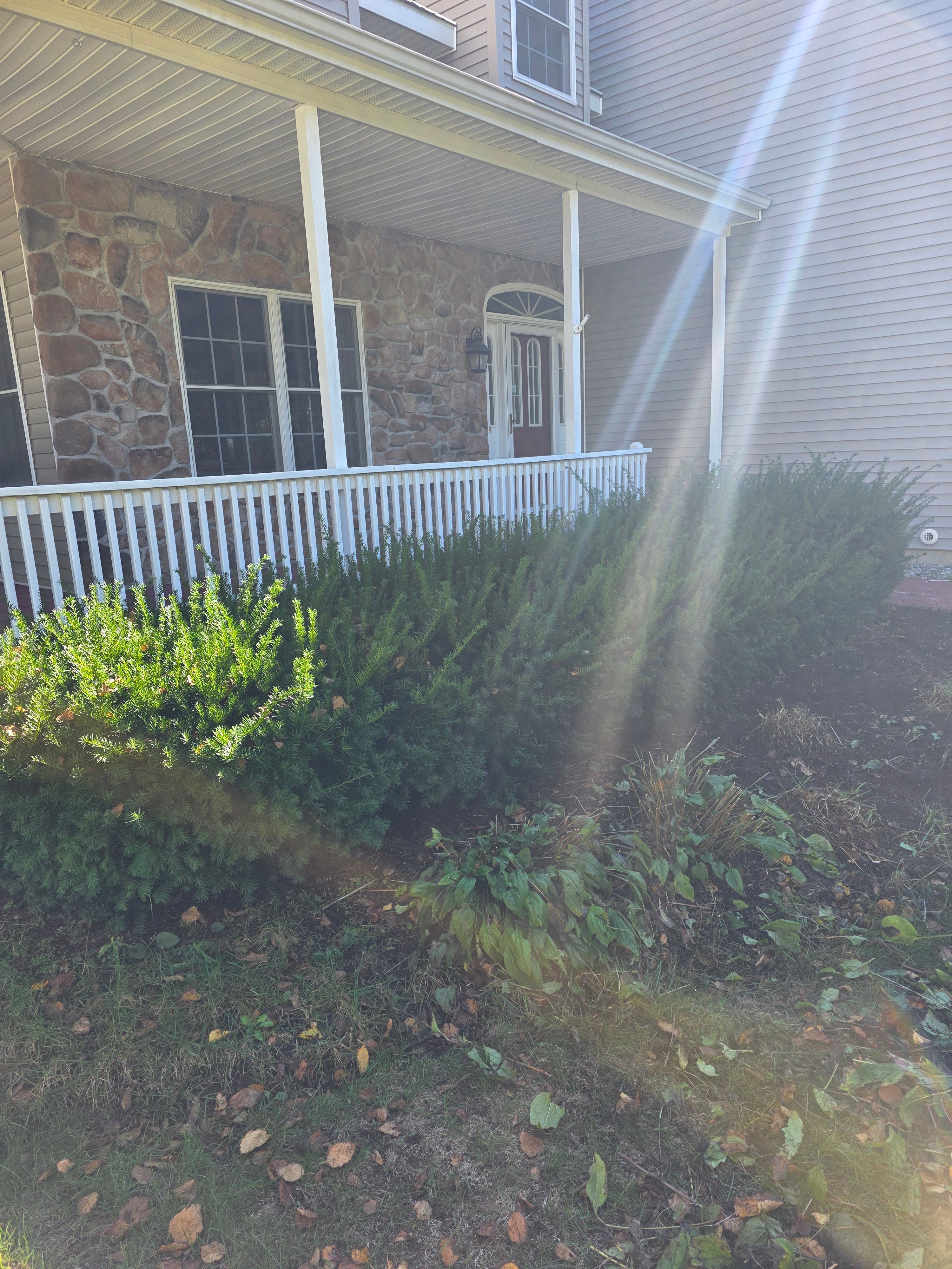  for Sweet Scapes in Ballston Spa, NY