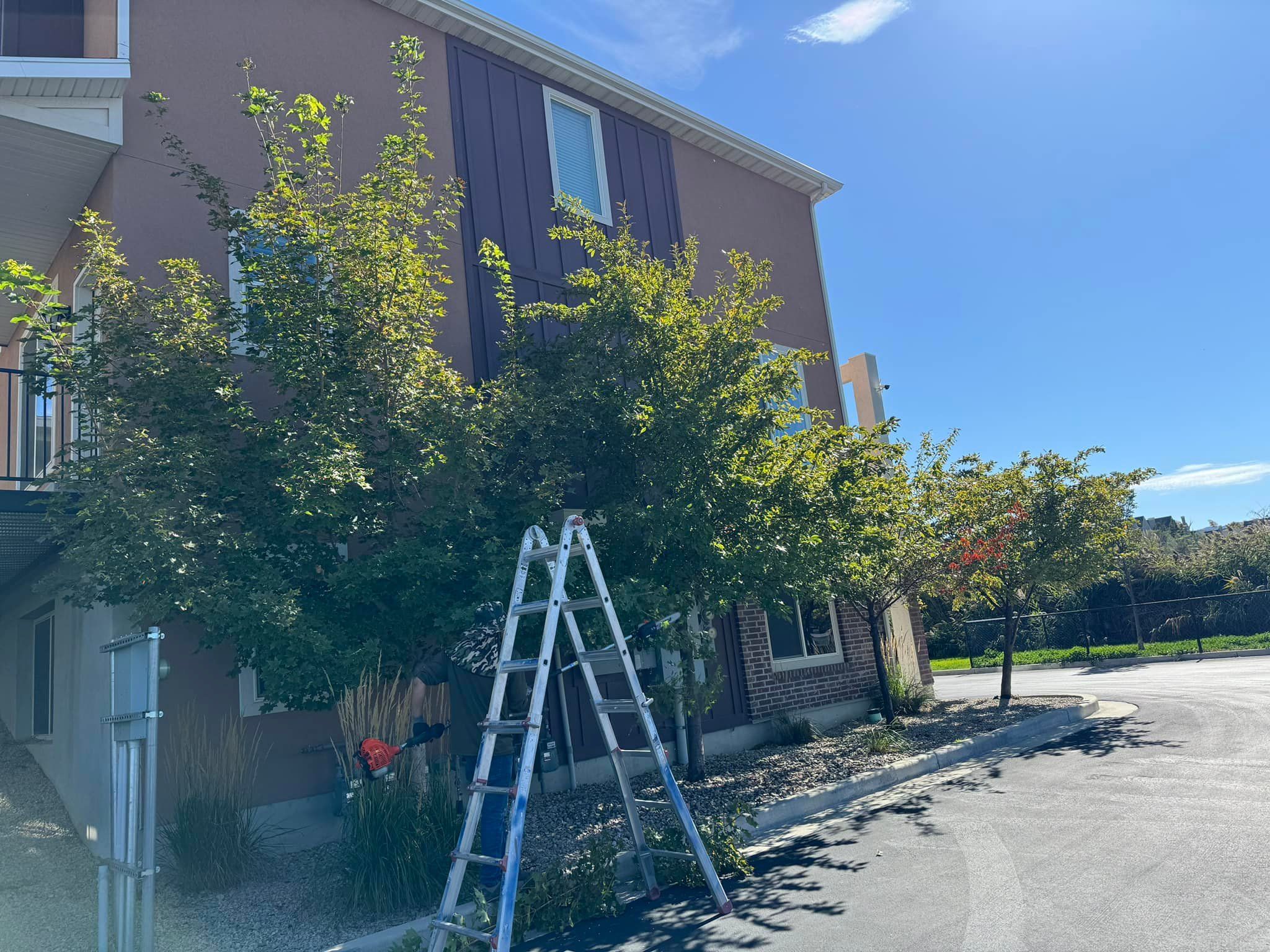 All Photos for L&S Landscaping in Layton, UT