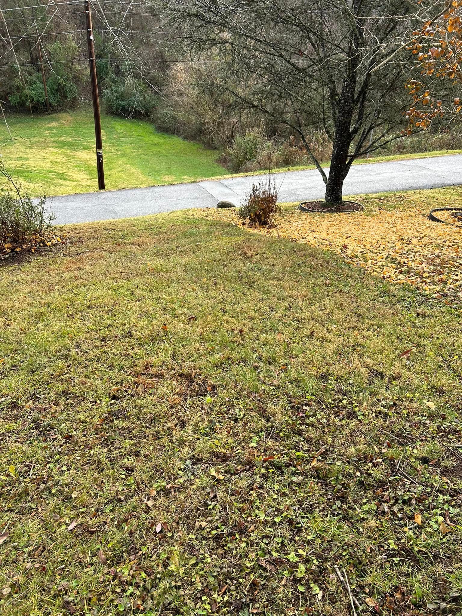 All Photos for Gatrell Landscape & Tree Removal in Bluff City, TN