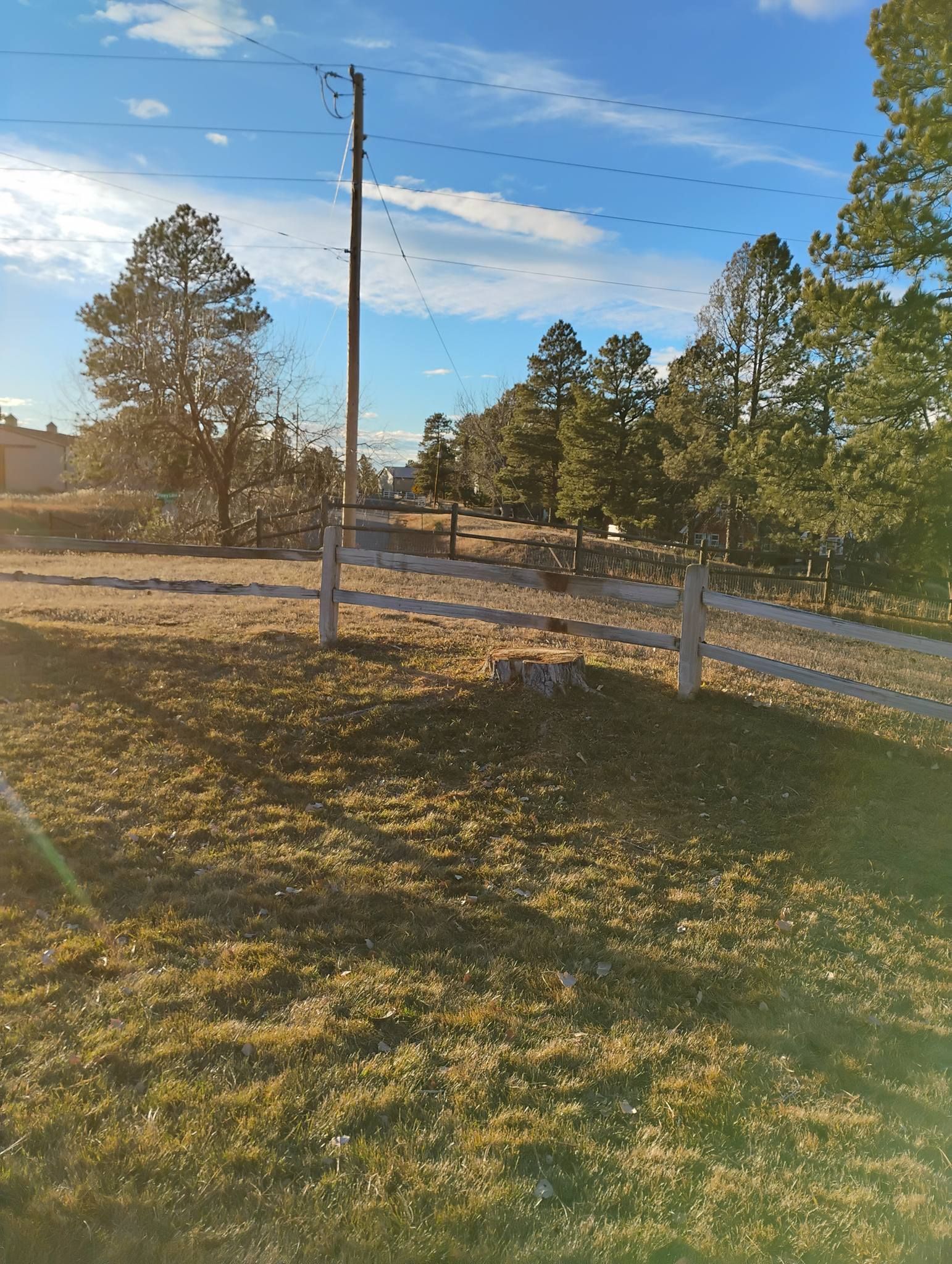  for Sloan Tree Service in Aurora, CO