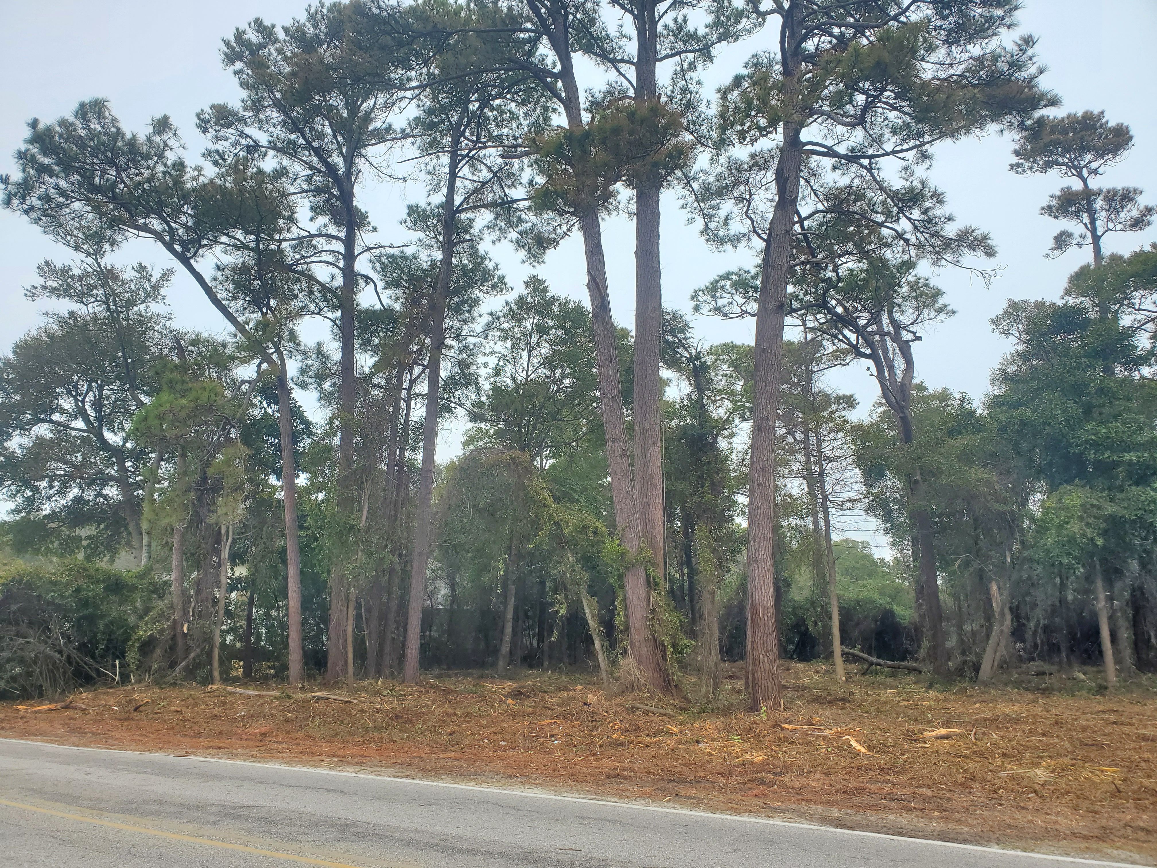 All Photos for TJ Farm and Land Management in Loris, SC