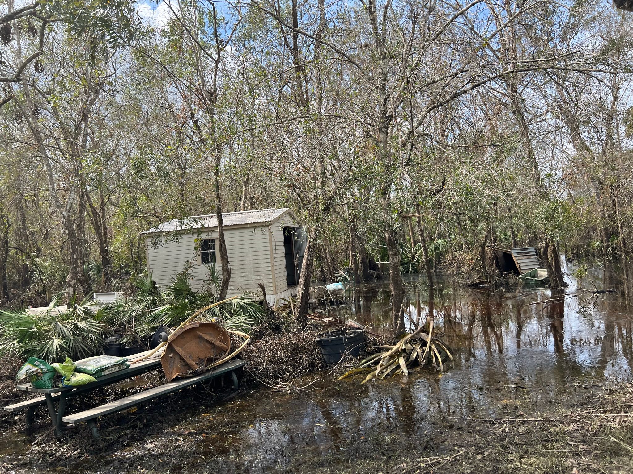  for Surplus Public Adjusters in Miami-Dade County, FL