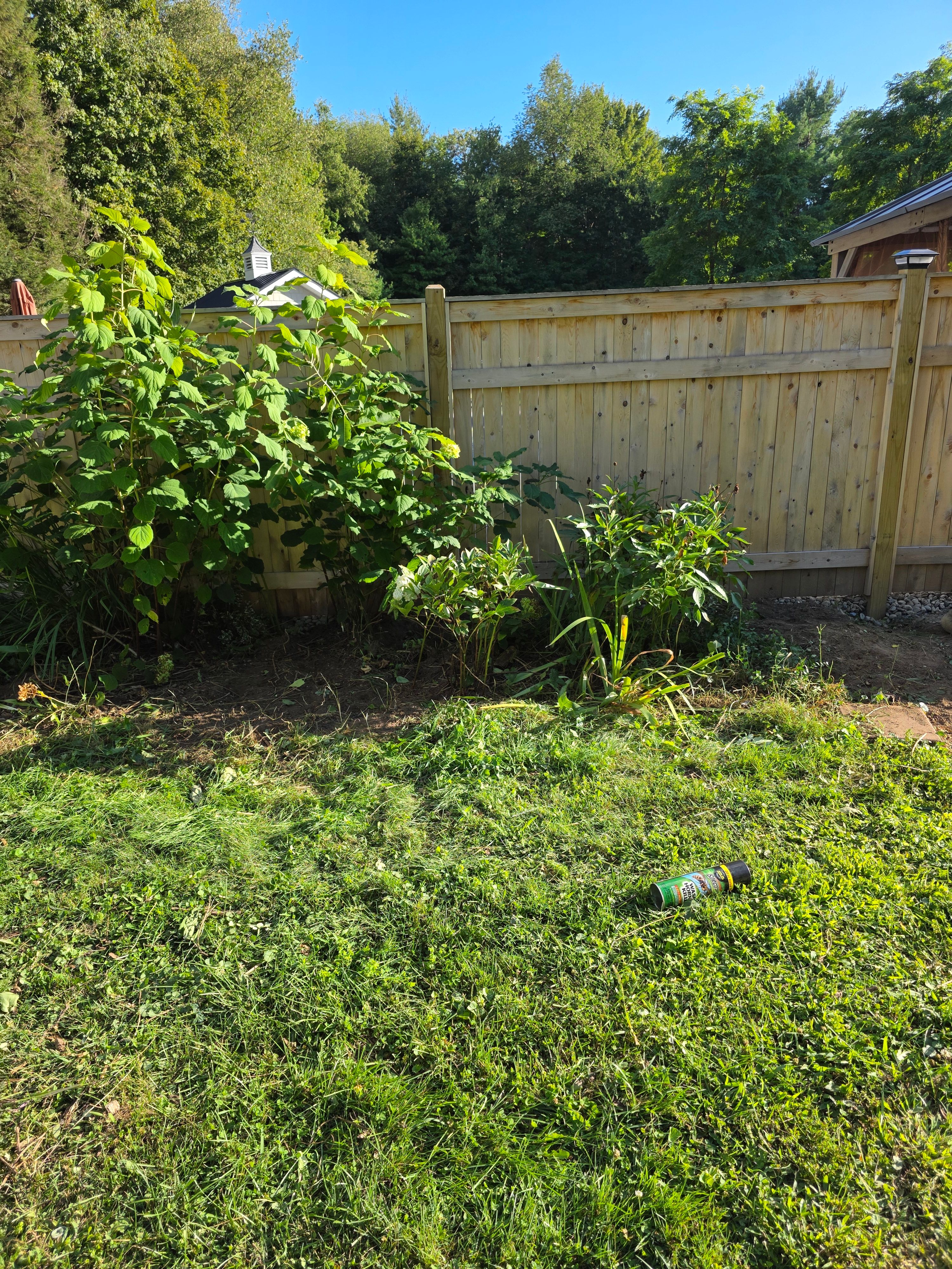  for Sweet Scapes in Ballston Spa, NY