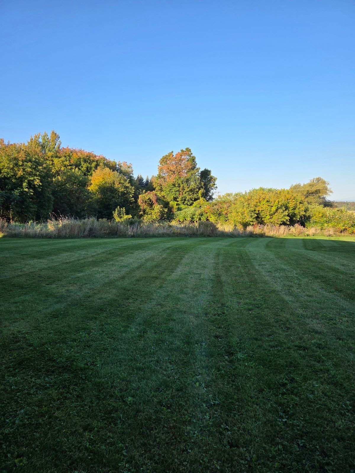 Landscaping for Bishop’s Property Maintenance in Franklin, VT