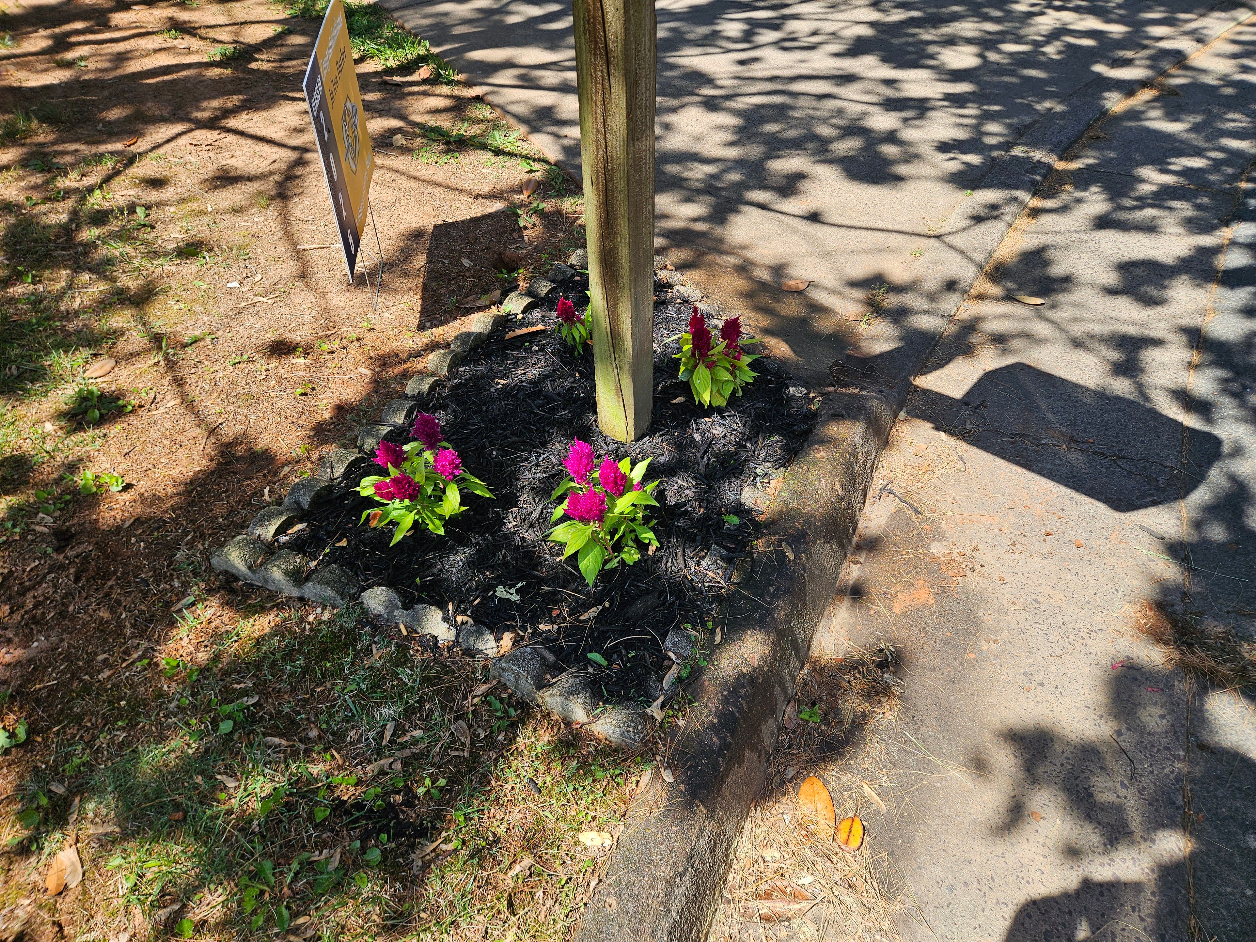 All Photos for Browns Grounds in Culpeper, VA