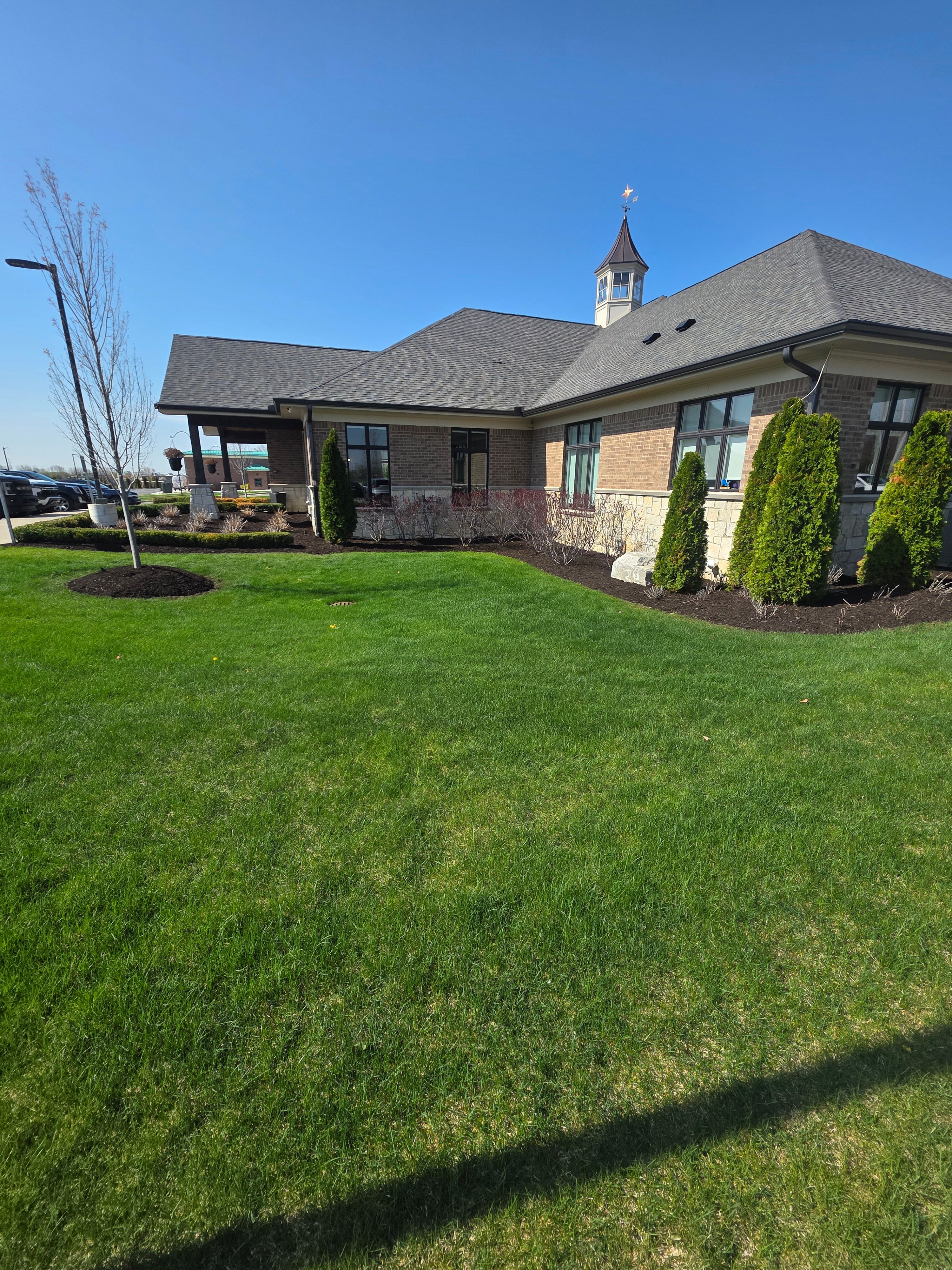  for Ivy Lawn and Landscaping in Oxford, MI