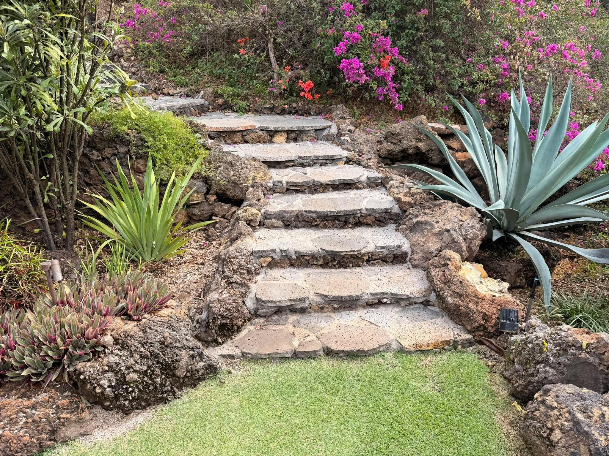  for Savou Landscape & Masonry LLC  in Maui, HI