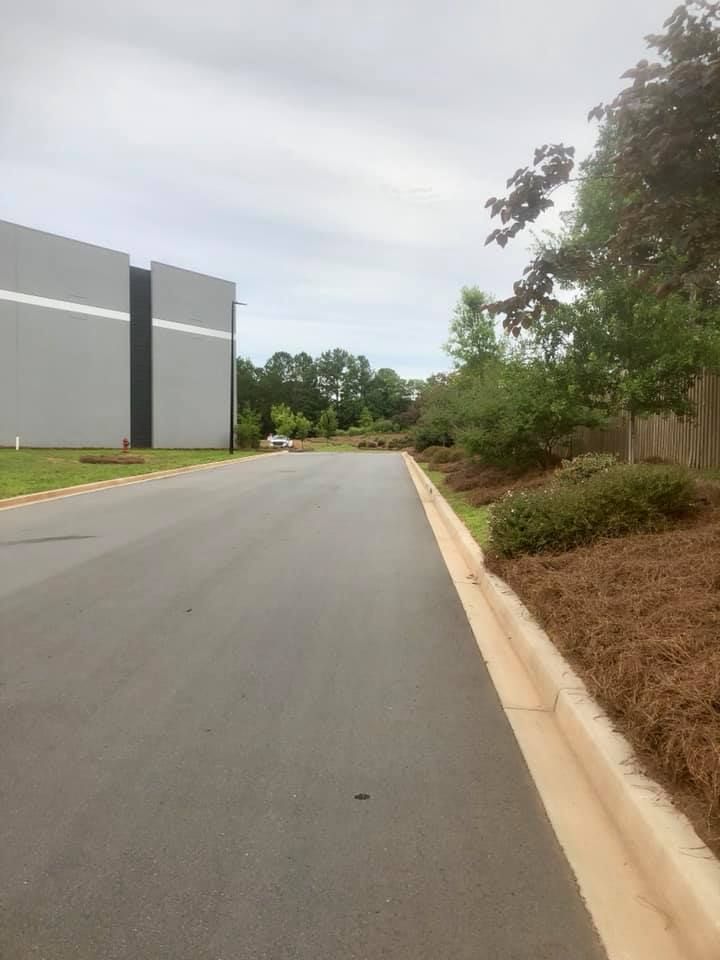  for Pecina Pine Needles in Monroe, NC