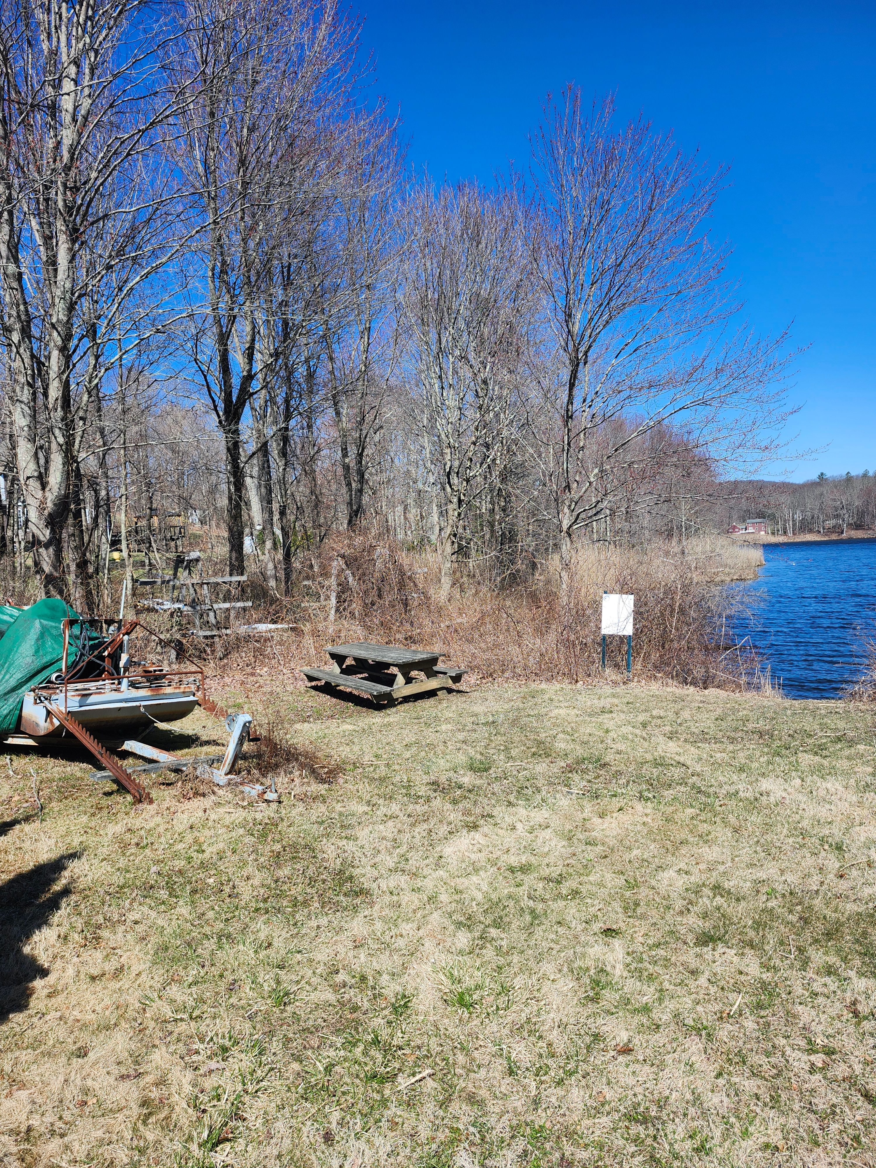 Hedge/Tree/Brush Cutting for Landscape Innovations LLC in Torrington, CT