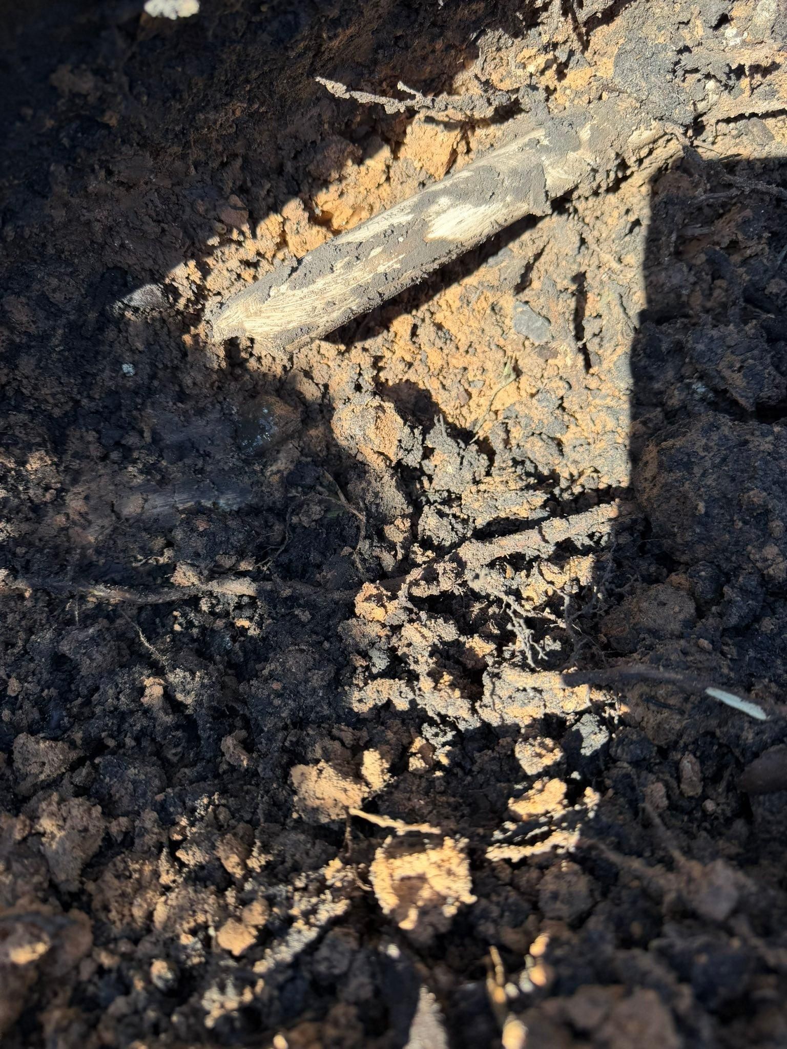  for Texas Curb N Borders in Houston, TX