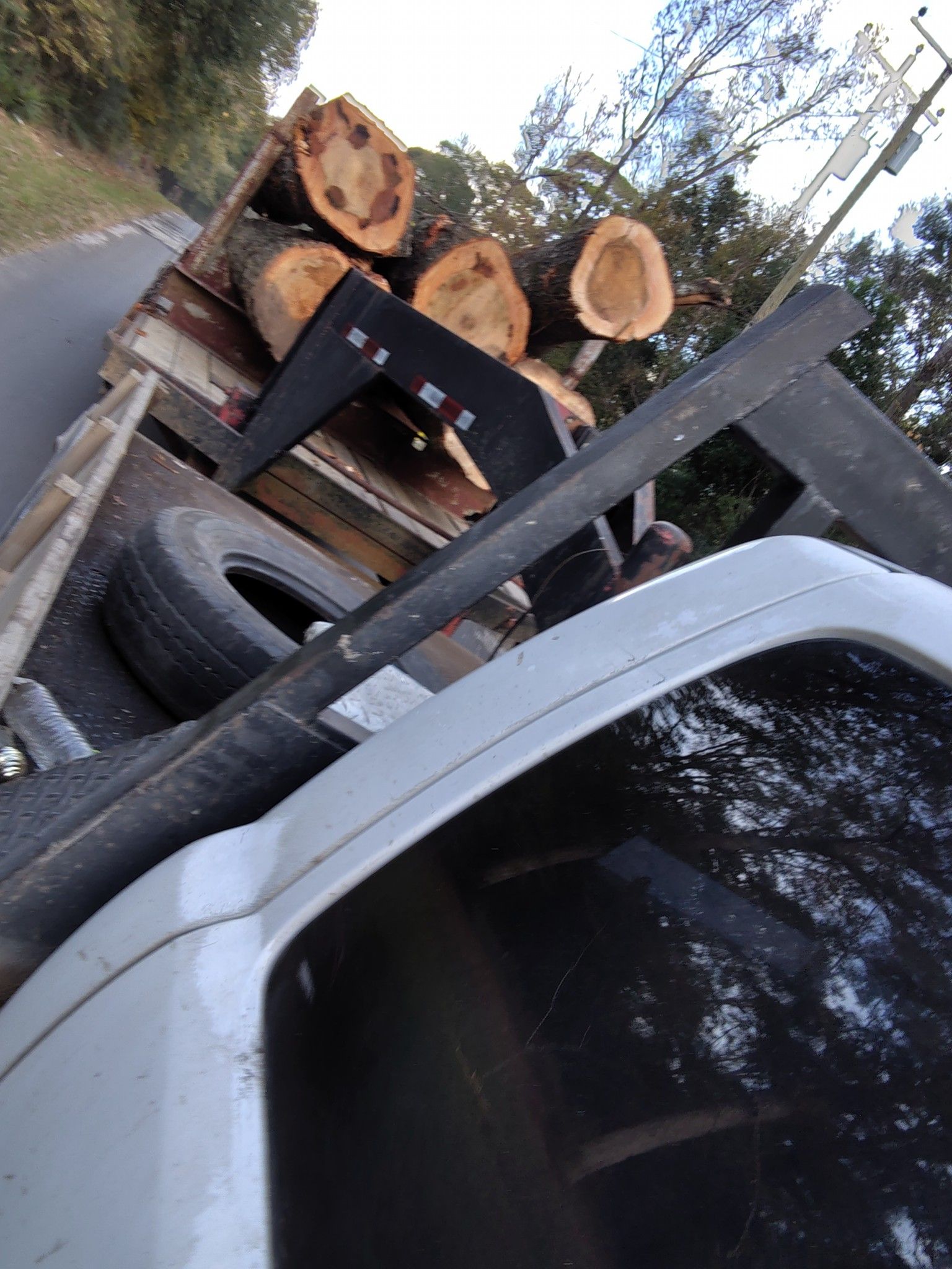  for Alpers Tree Services in Cleveland, TX