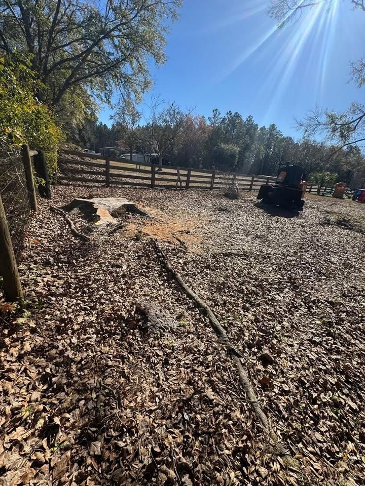 All Photos for Jacksonville Outdoors in Jacksonville, FL