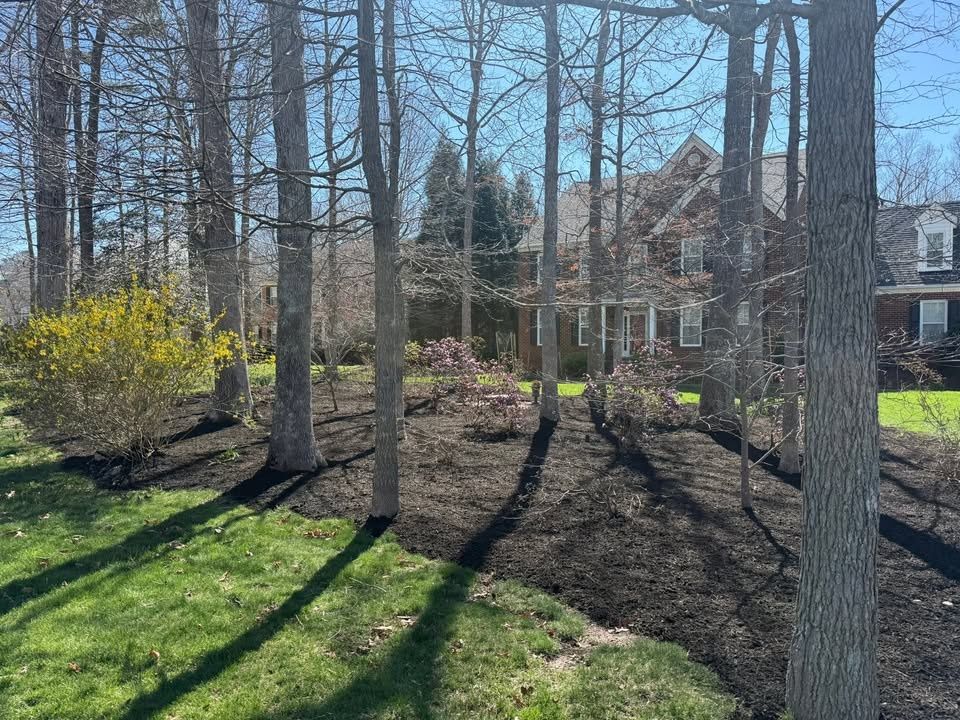 All Photos for C + C Landscaping in Chesterfield, VA