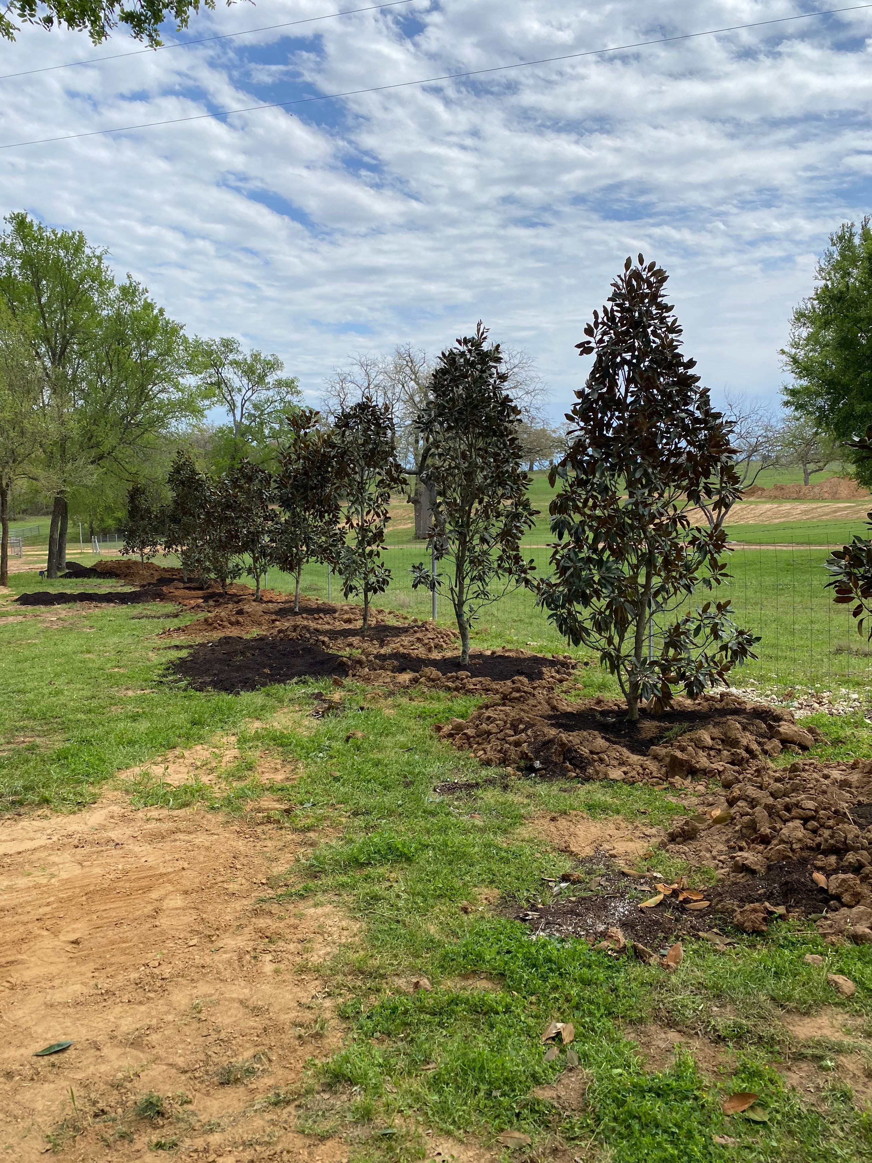  for Chavira Landscape & Irrigation in Austin, TX