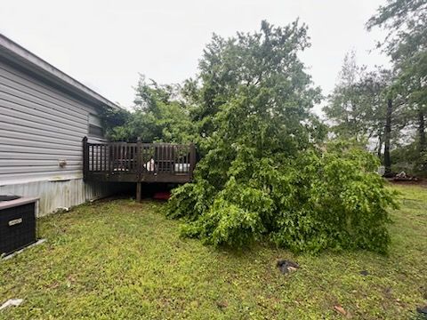  for Absolute Tree Care LLC in Whitney, TX