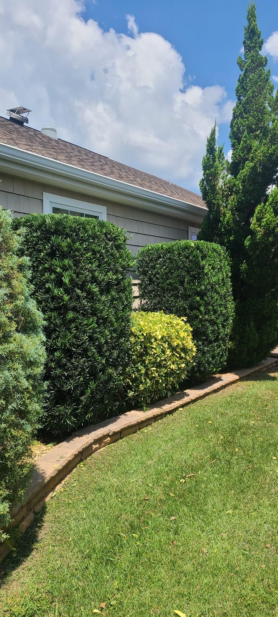  for TopNotch Landscaping Services  in The Villages, FL