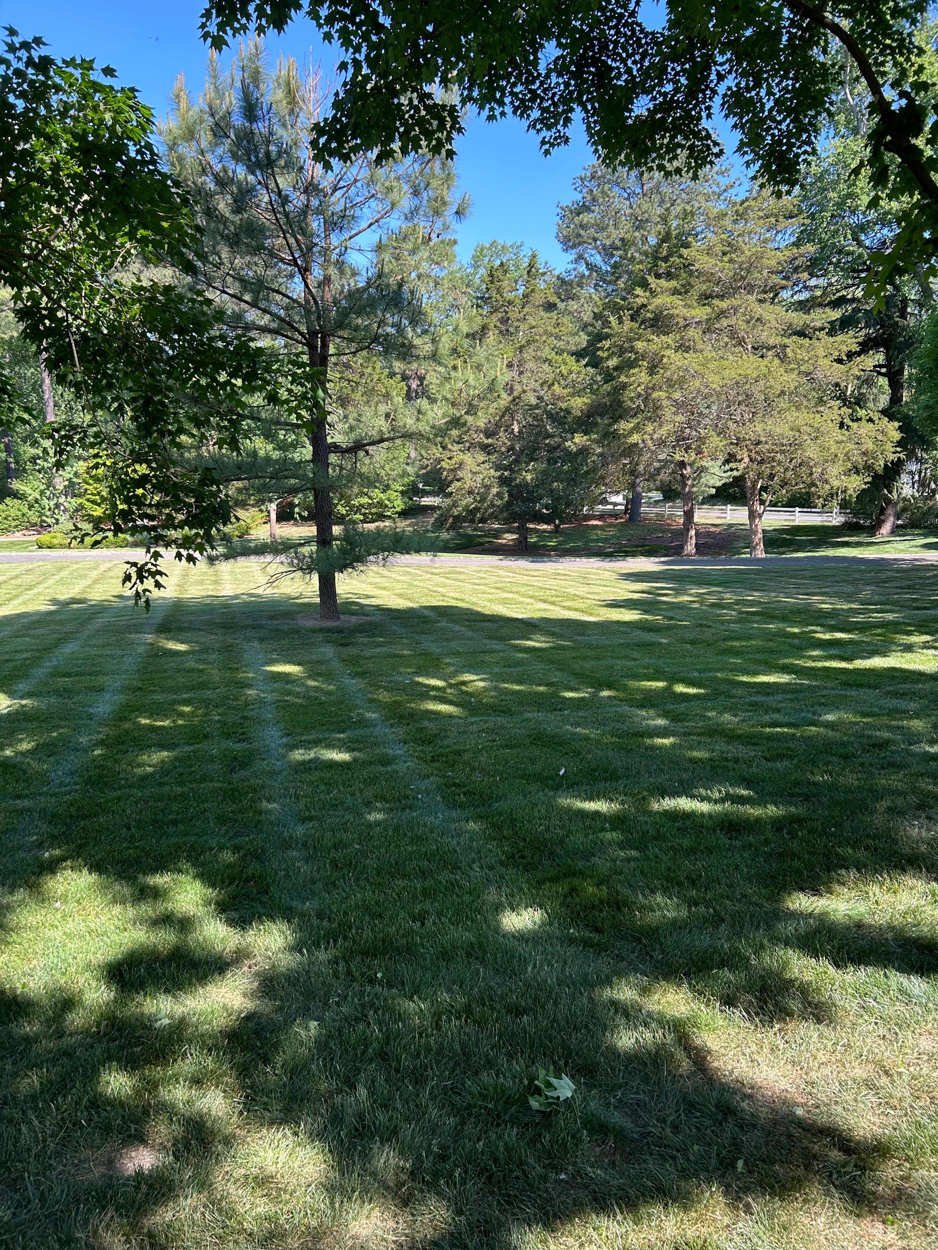  for Grass N Things LLC in Sandston, VA