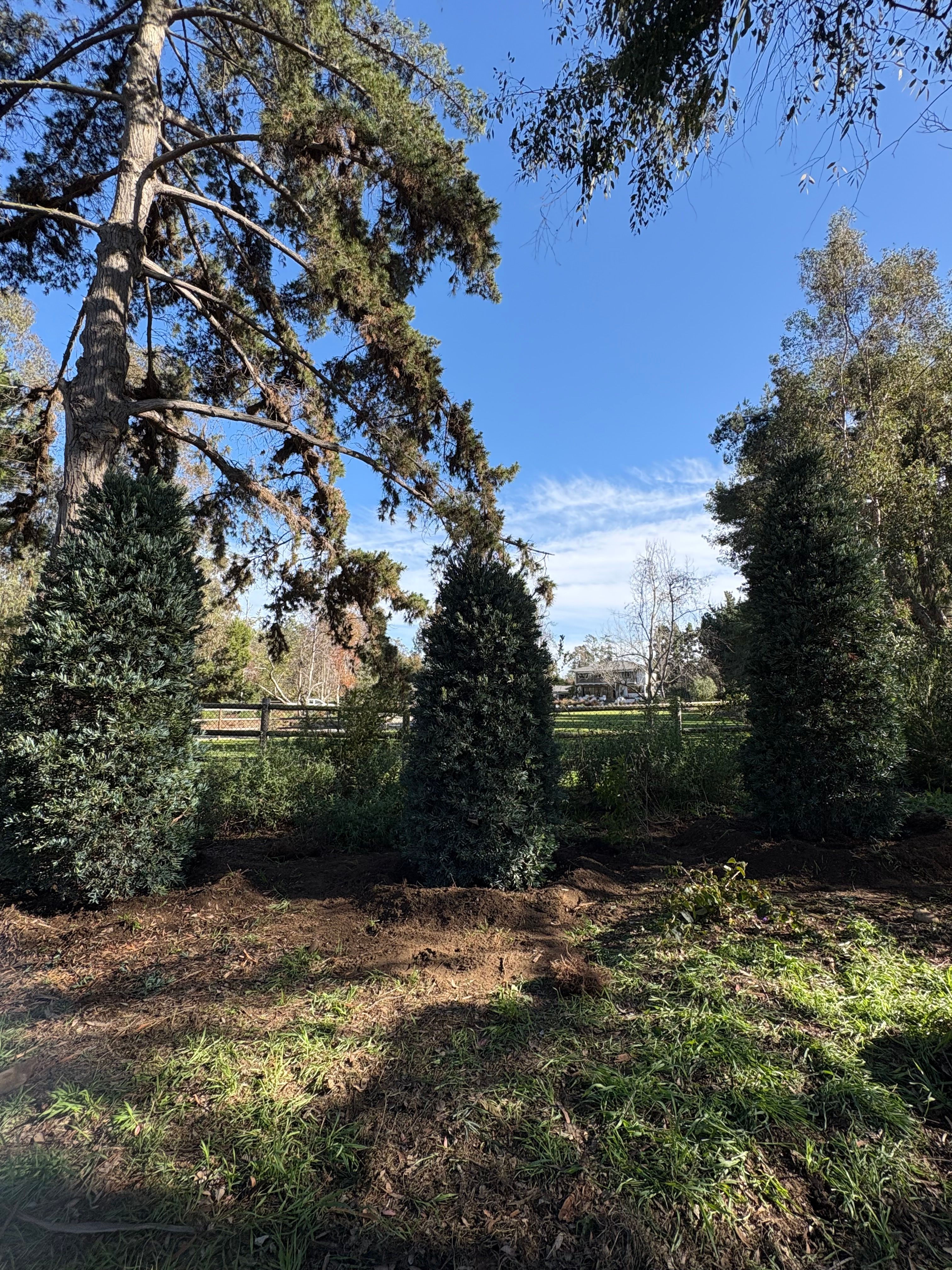  for Herreras Land Service in San Diego, CA