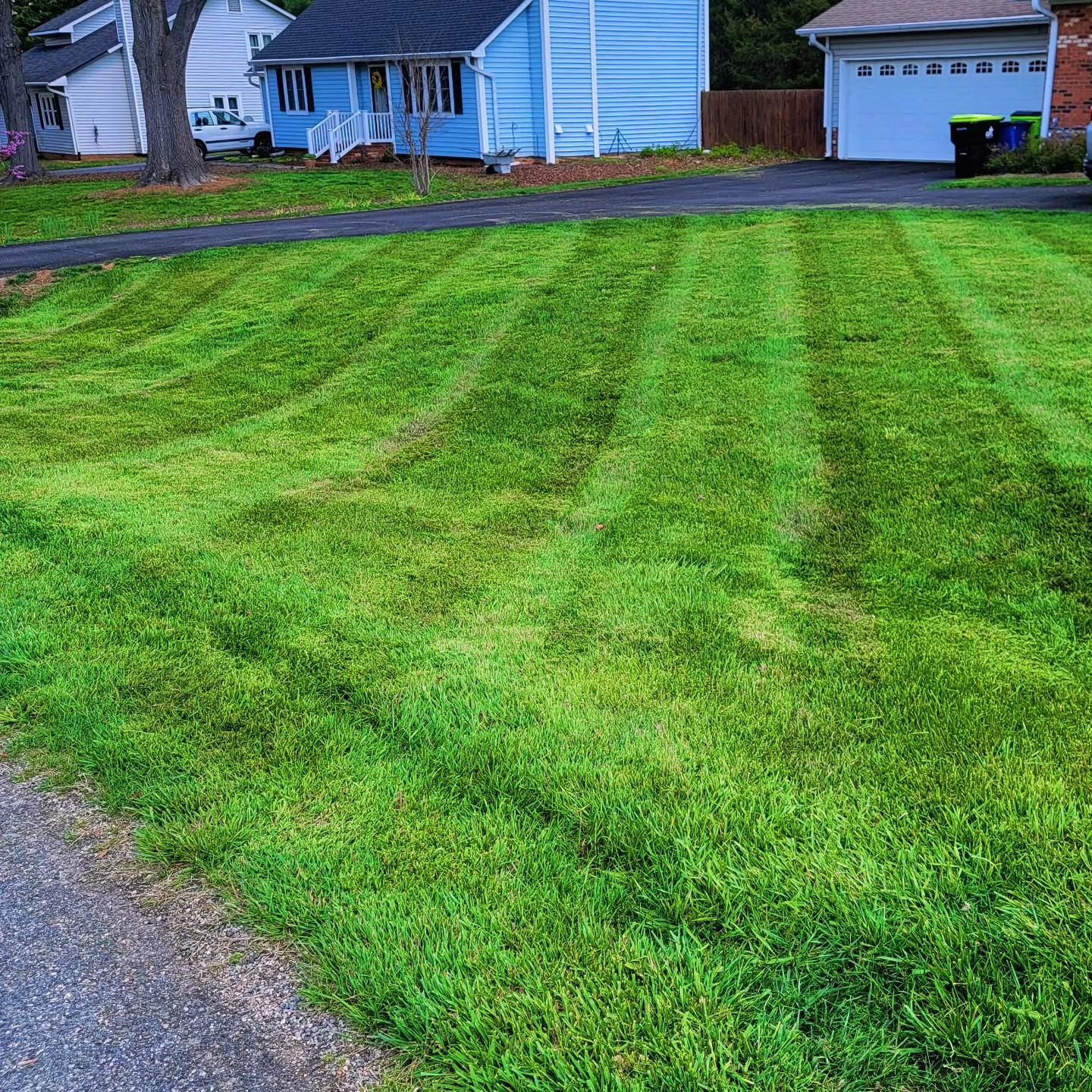  for Piedmont Lawn and Landscaping in Lexington, NC