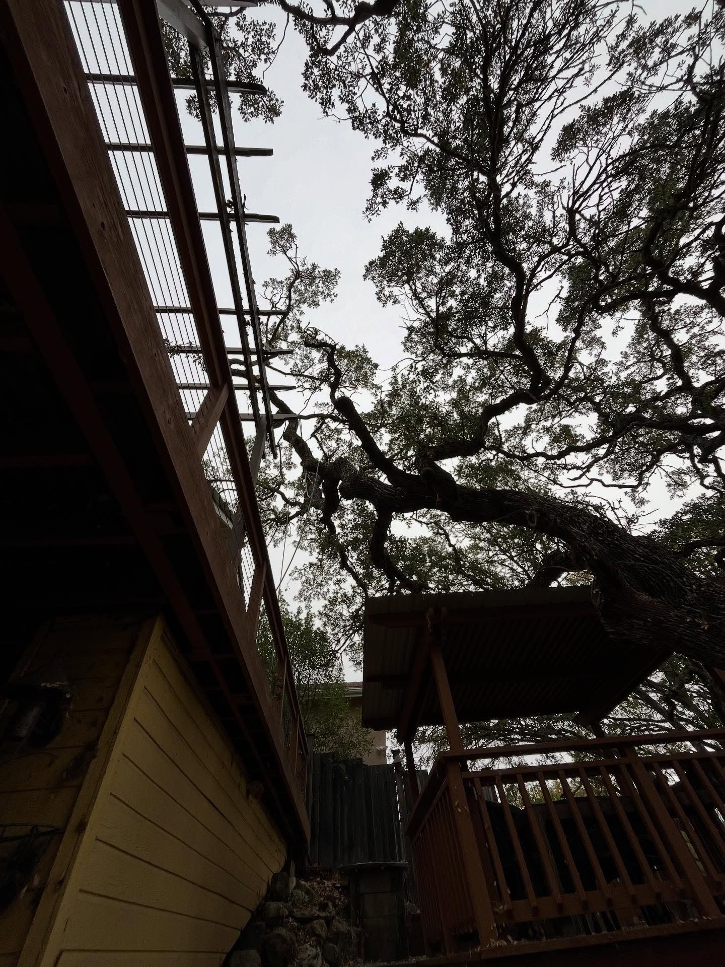  for A1 Junk & Tree Solutions, LLC in Paso Robles, CA