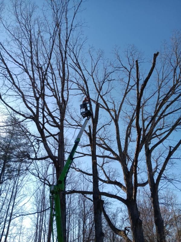  for Backwoods Tree Experts in Hickory, NC