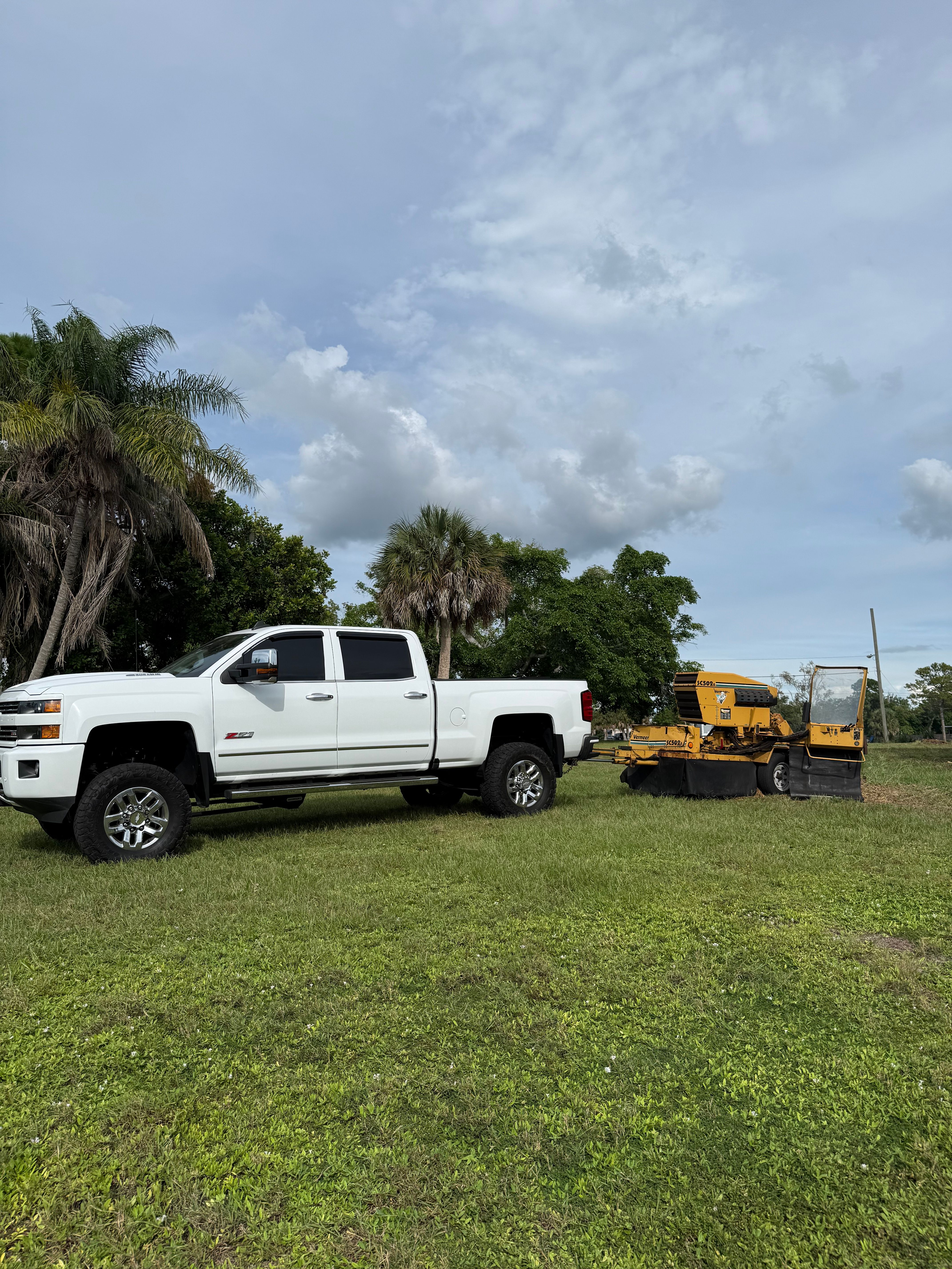  for Damian’s Tree Care in Sarasota, FL